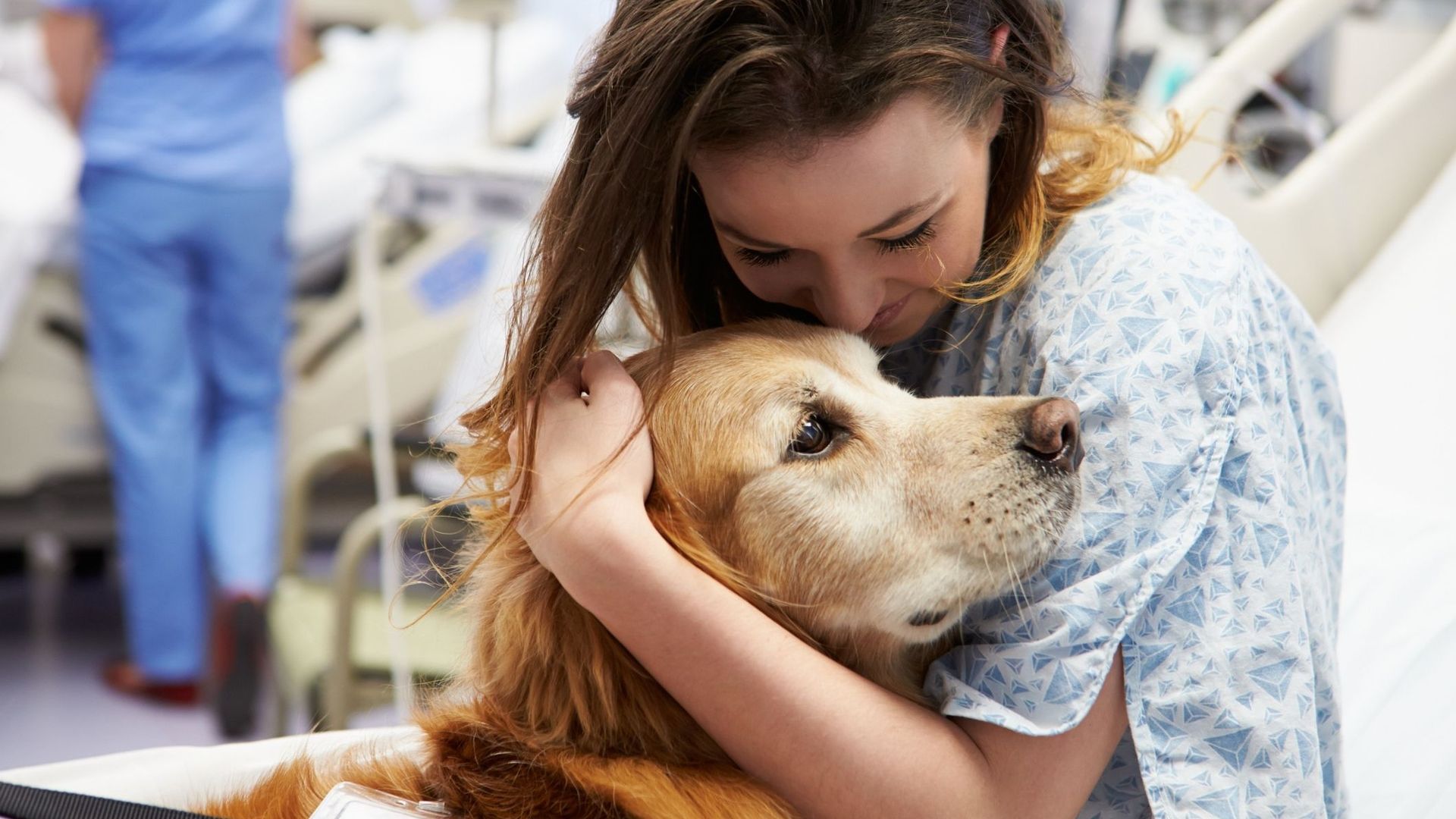 Les chiens, une solution pour lutter contre la douleur à l'hôpital ?