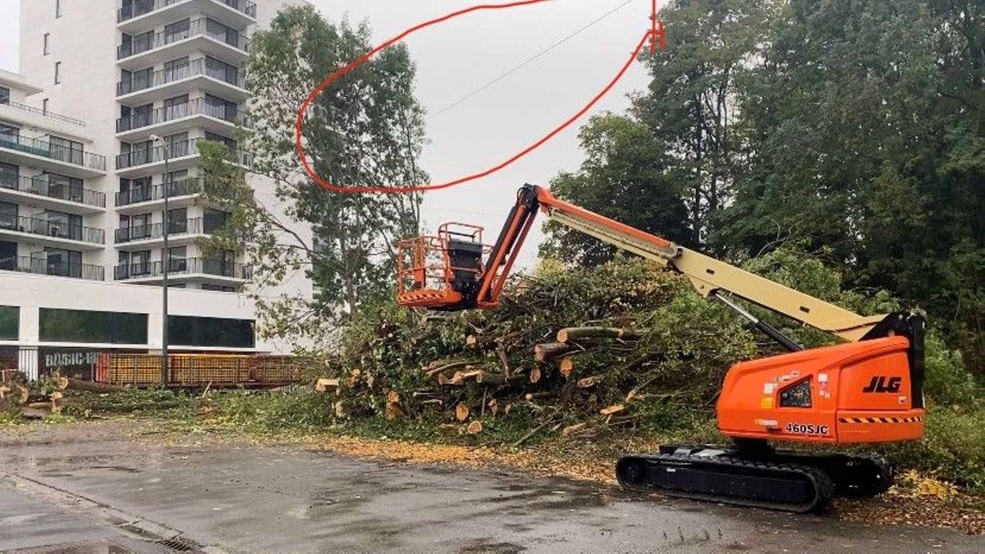 Les arbres abattus. Entourée en rouge, la passerelle à lérots