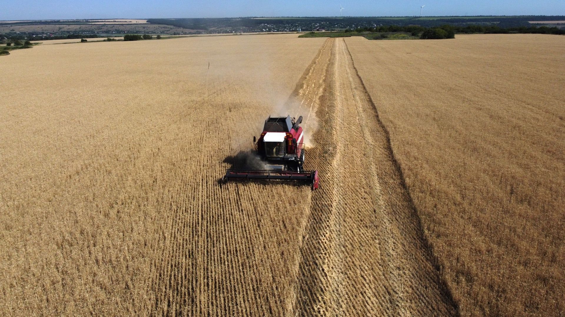 La Pologne appelle l'Union européenne à freiner l'arrivée de blé ukrainien 