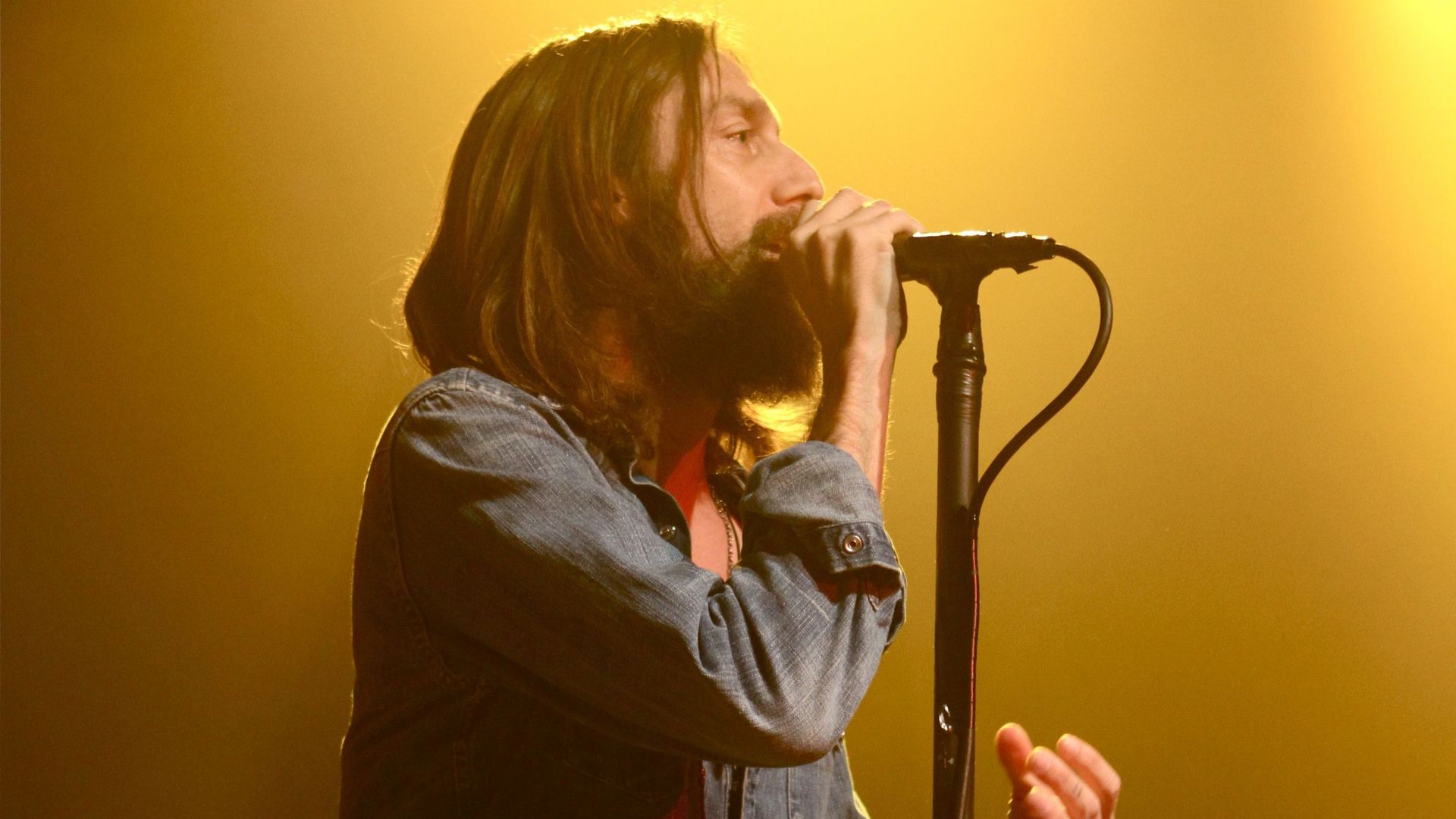 The Black Crowes In Concert