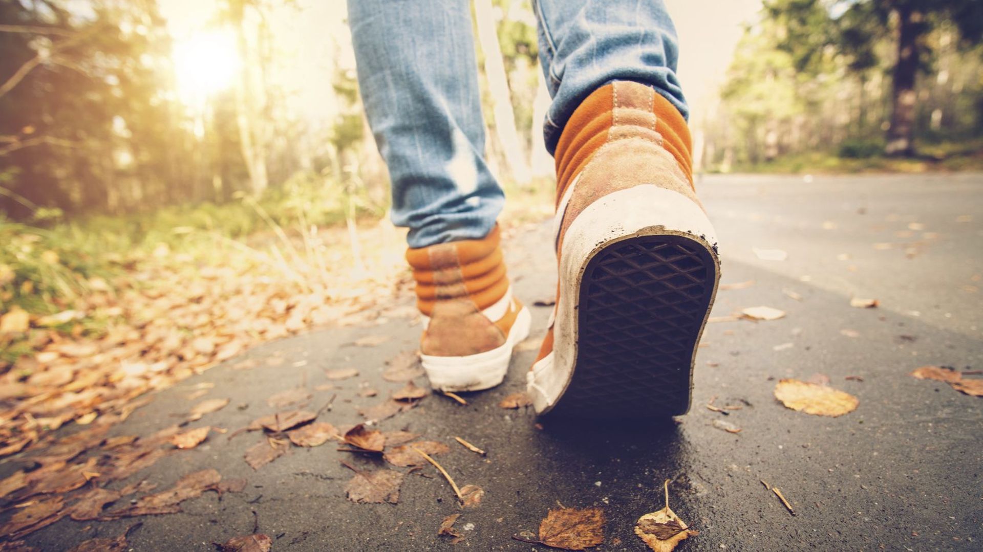 5 promenades à faire ce dimanche dans votre région - RTBF Actus