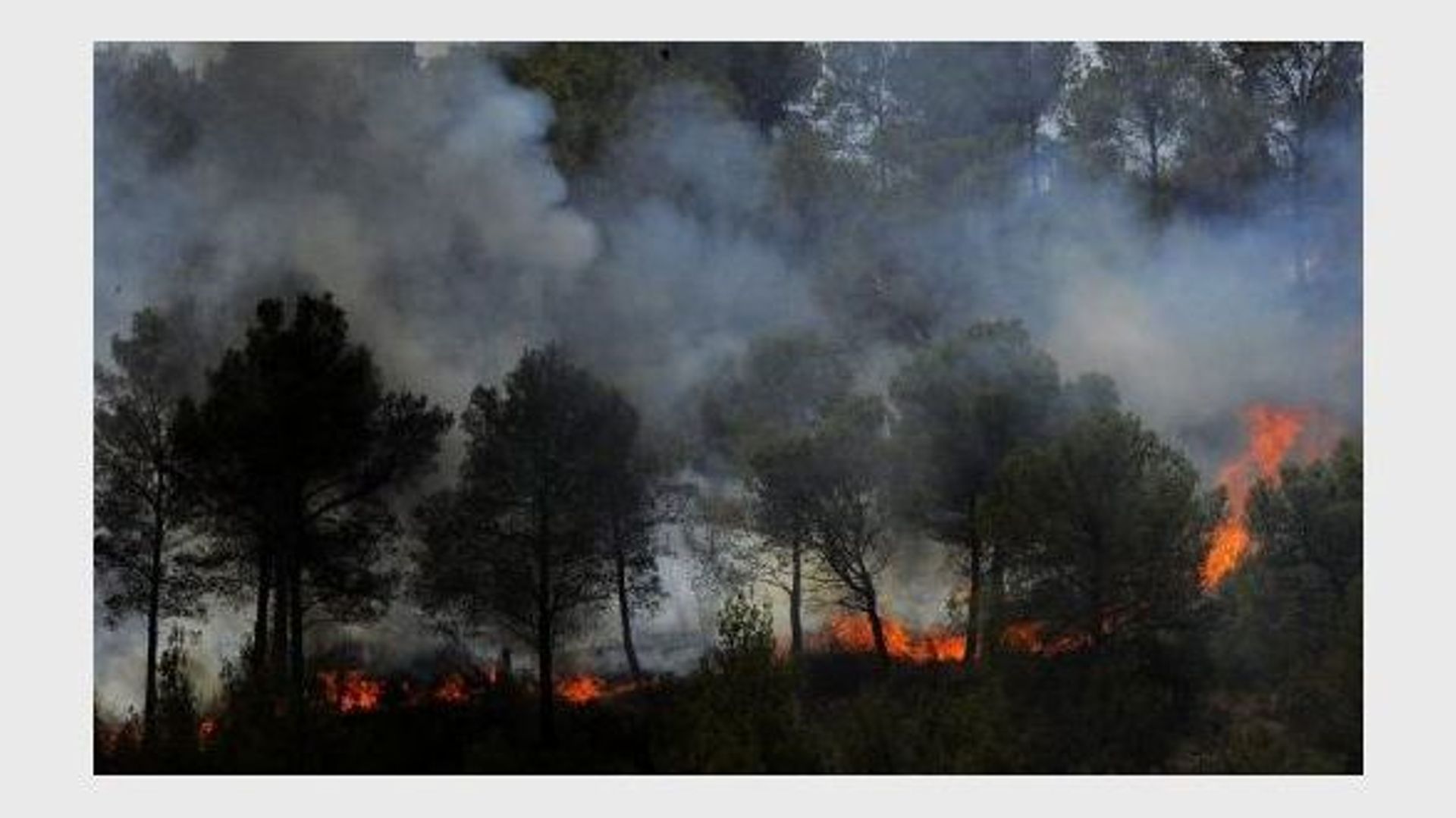 Le feu ravage la forêt à Alcublas, en Espagne, le 2 juillet 2012