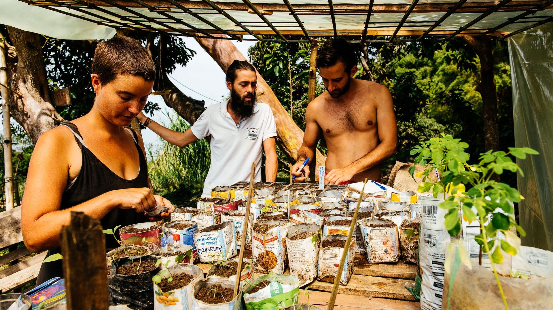 Loin des multinationales et de la mondialisation, Mundo Nuevo et ses volontaires cultivent leurs semences et leurs produits sur le modèle de la permaculture.