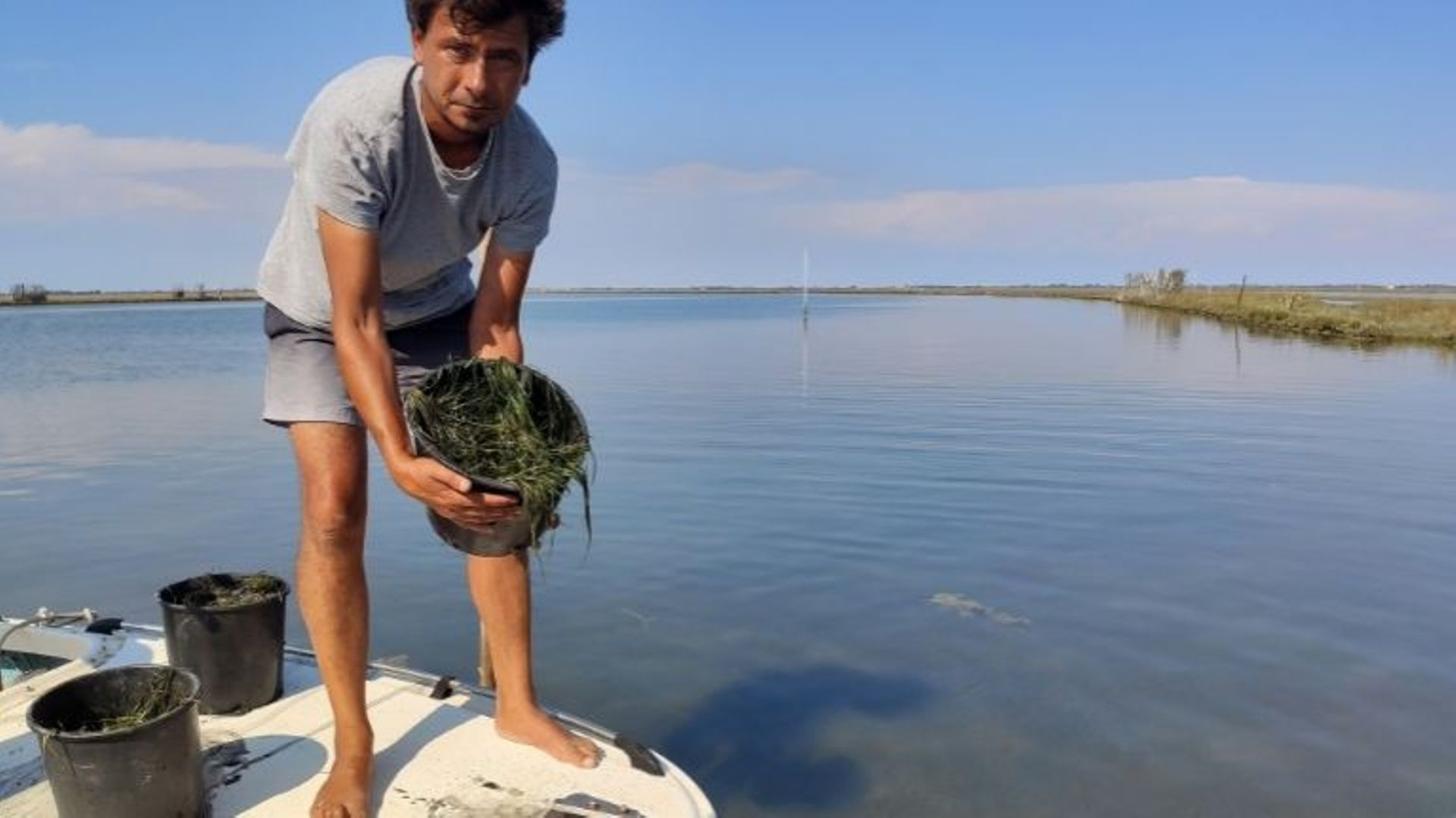 Le pêcheur italien Andrea Salmaso dans la lagune vénitienne dans le cadre d'un projet visant notamment à augmenter les apports en eau douce, près de Venise le 22 juillet 2020.
