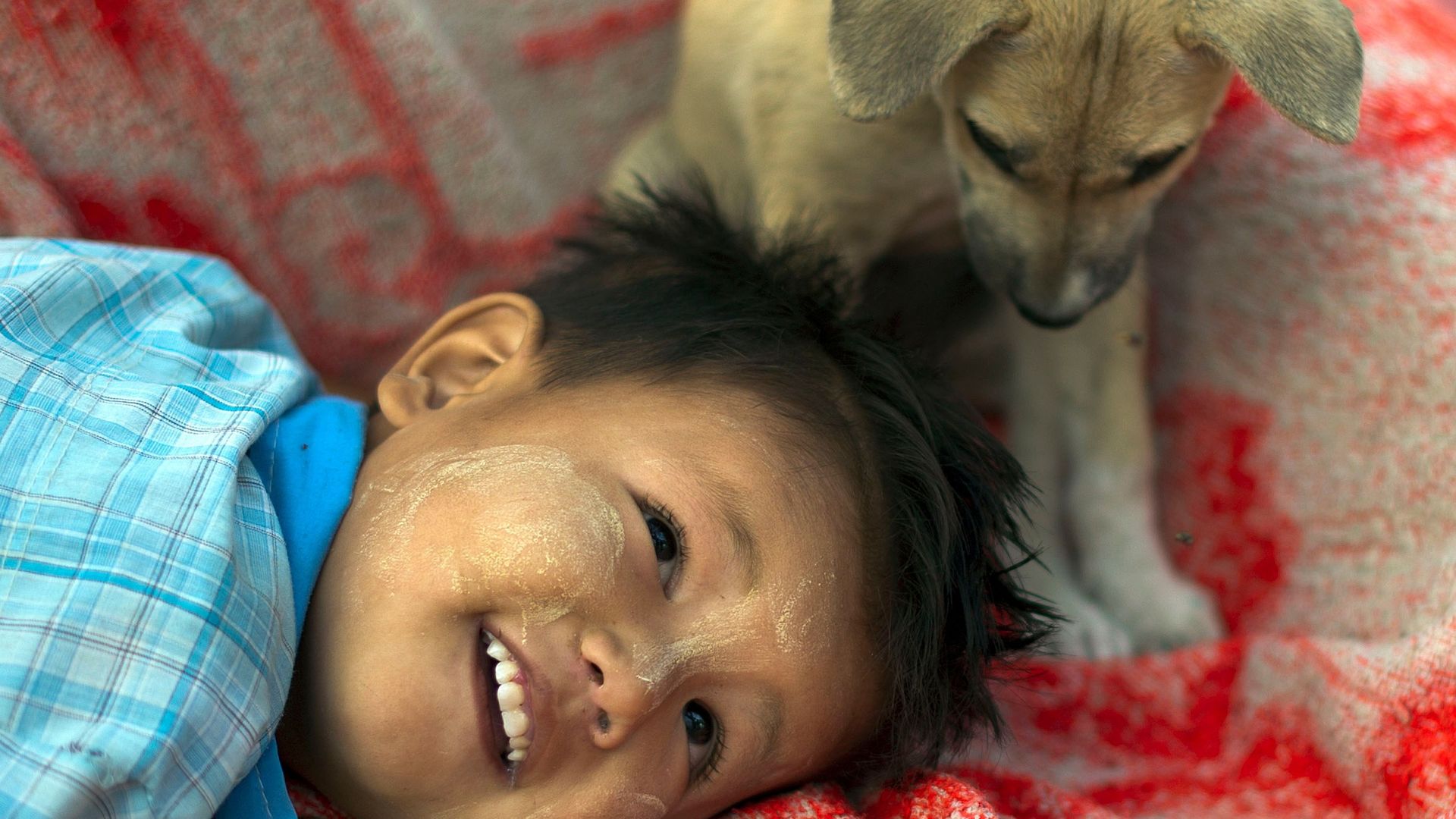Qui ne se souvient pas de moments passés avec son chien ou son chat étant enfant? Ici un petit garçon et son chien photographiés en 2012 en Birmanie.
