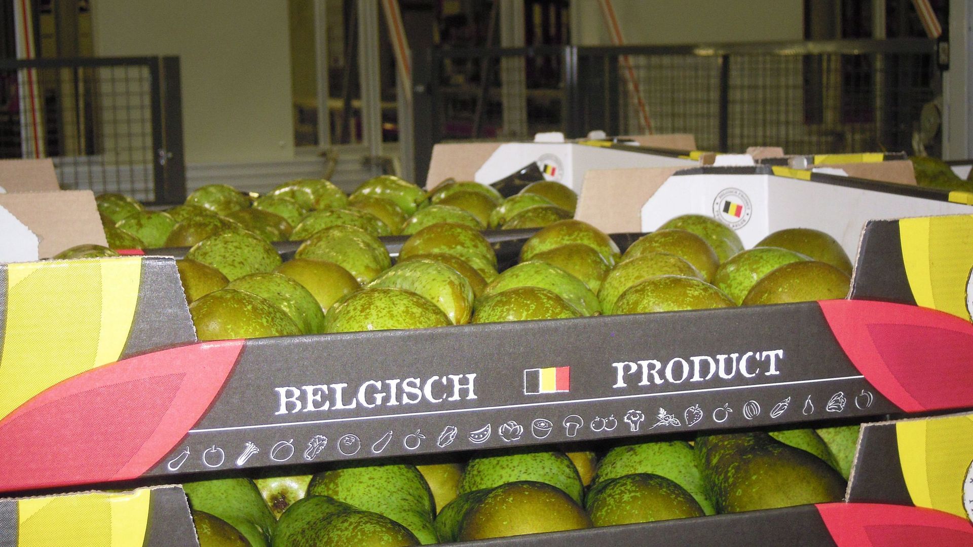 Le Canada autorise l'importation de poires belges
