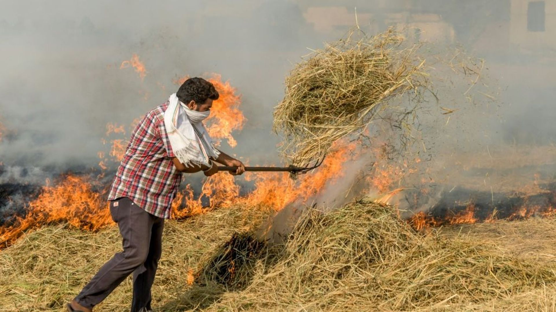 Un paysan indien brûle la paille restée dans son champ après la récolte de paddy, près d'Amritsar le 3 octobre 2020
