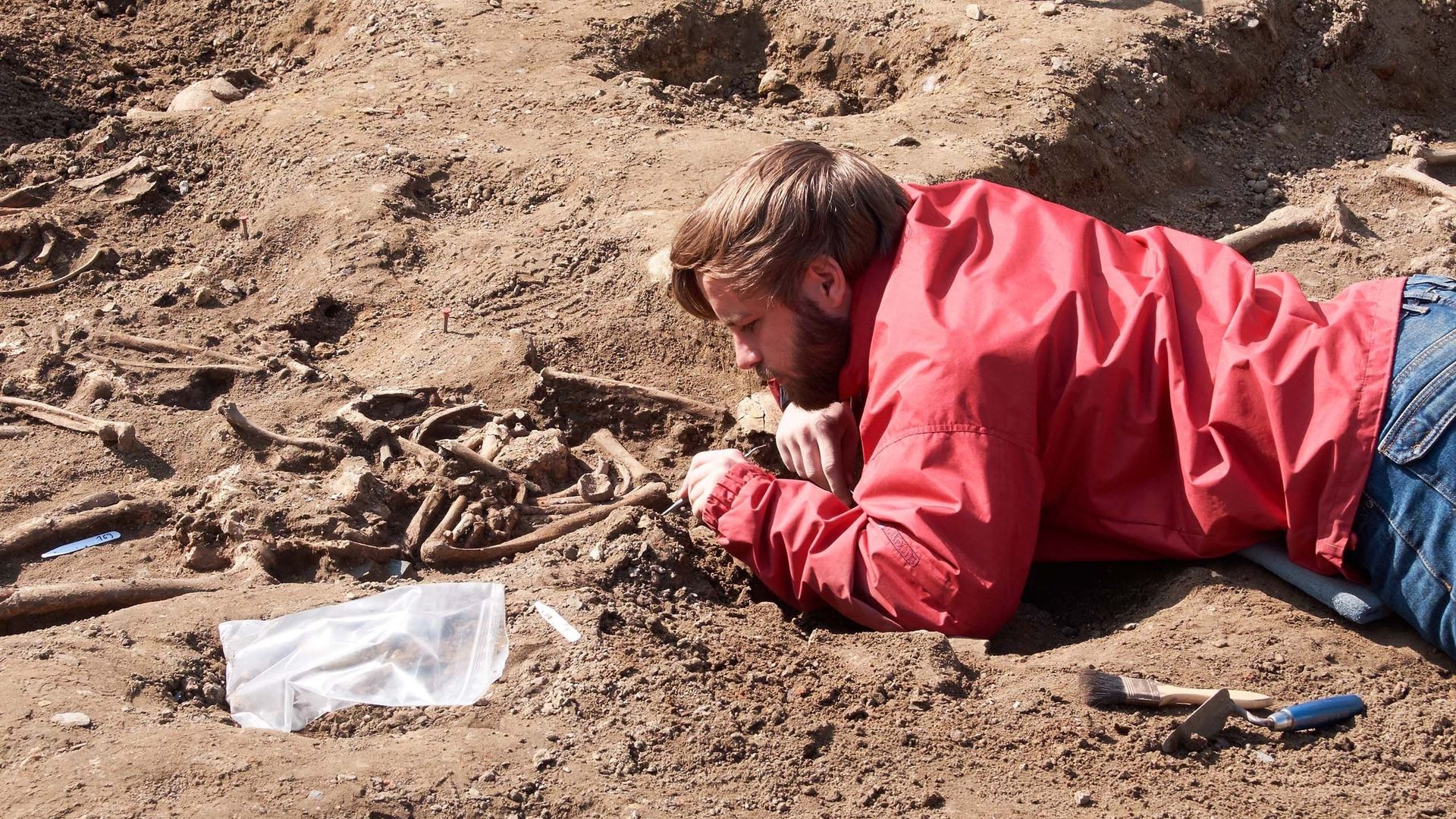 55,8% des archéologues britanniques disent ressentir de la honte en raison de leur niveau de vie.
