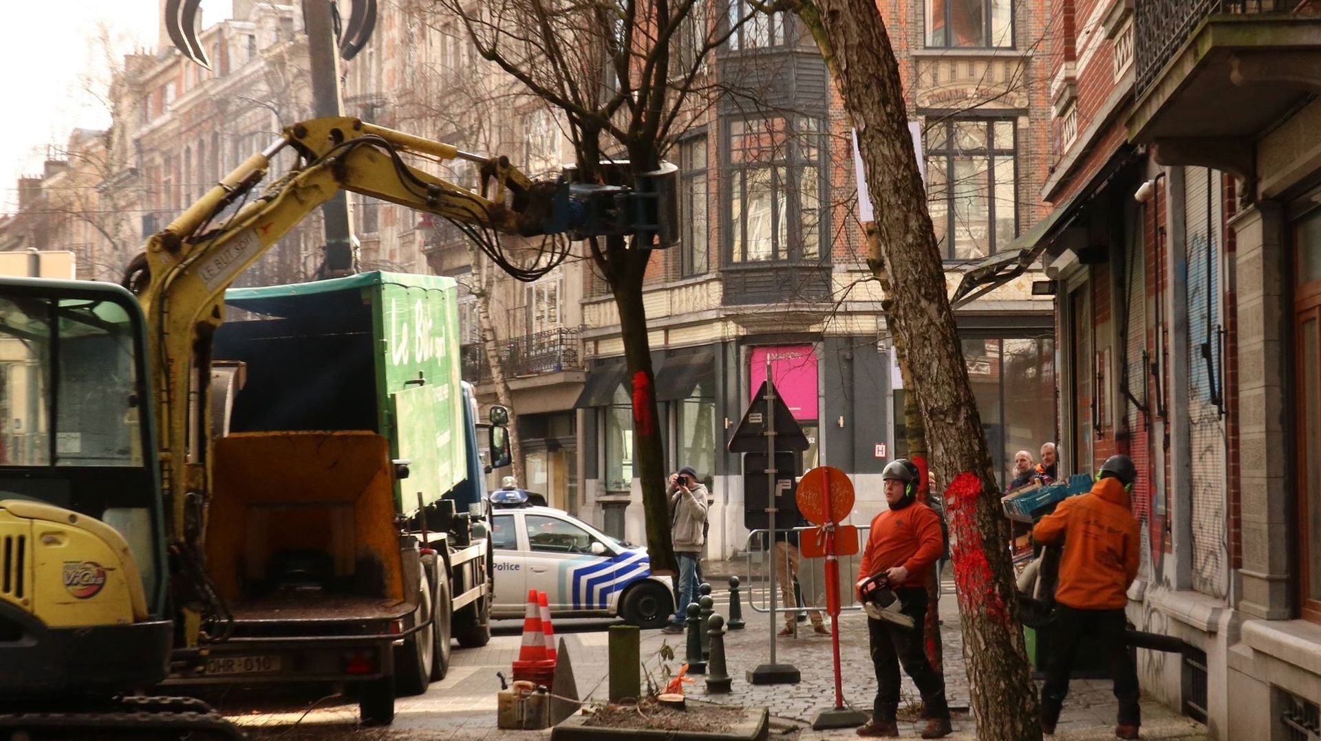 Forest : l'abattage des bouleaux de la rue Berkendael a débuté