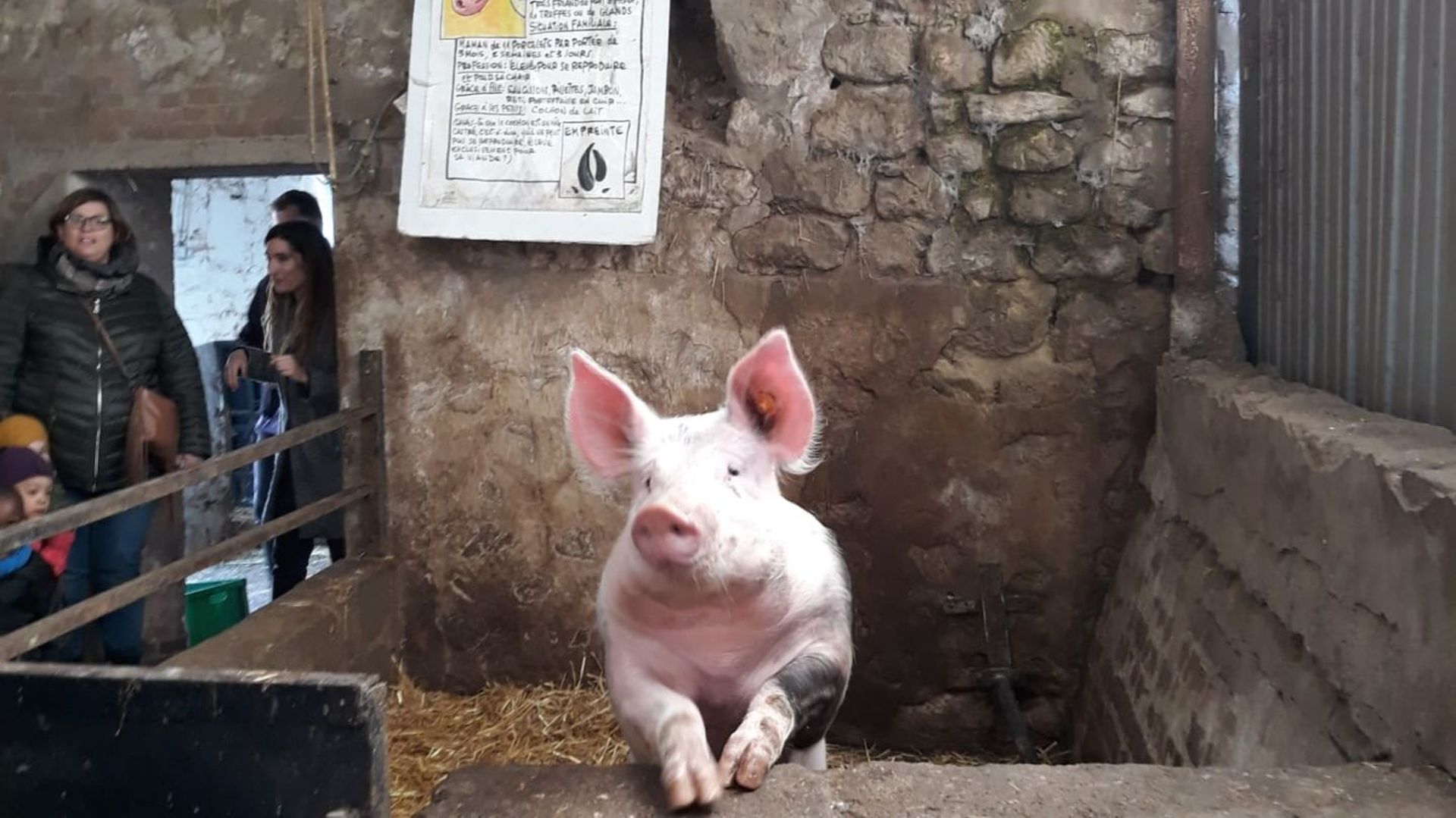 Ferme Pédagogique de la Vallée - Fêtes d'anniversaire - Fêtes de famille