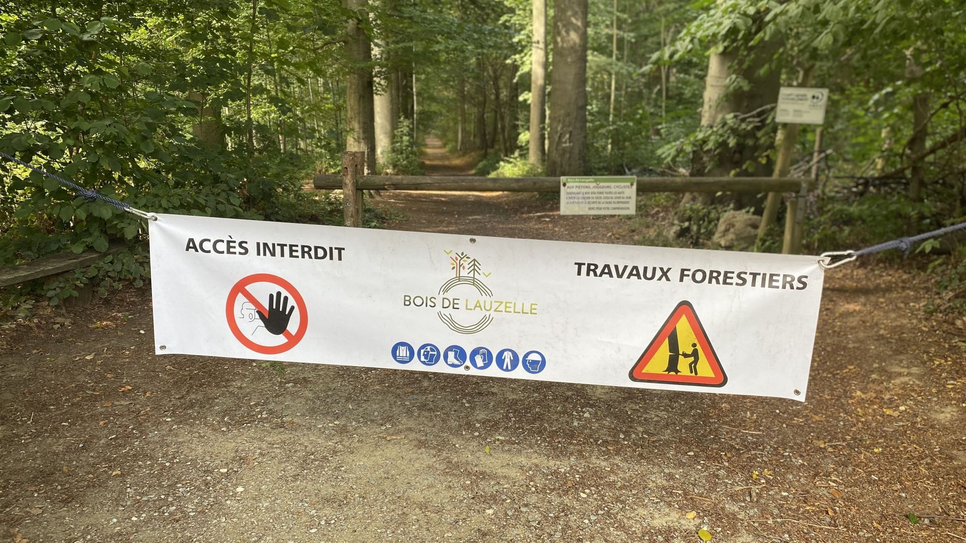 Pendant les coupes, l’accès au bois est interdit, pour des raisons de sécurité.