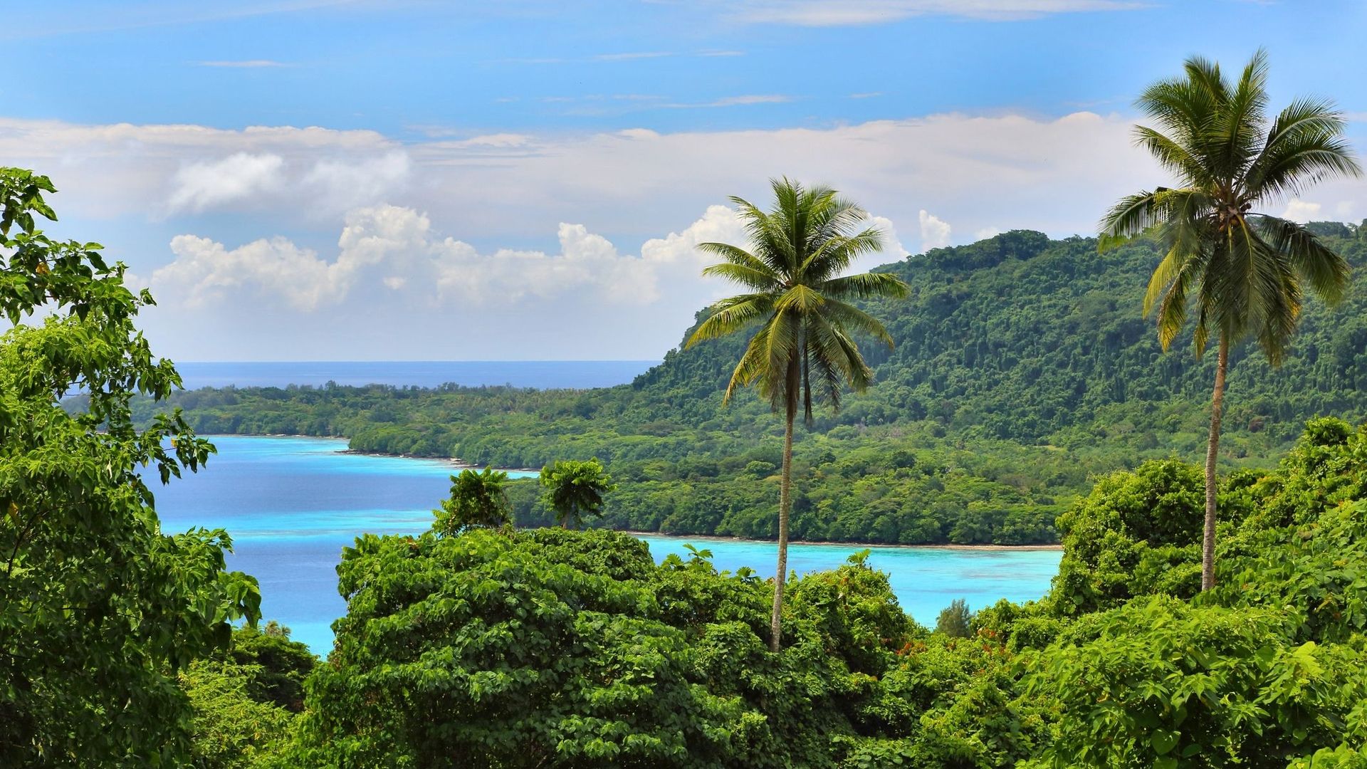 Eaux bleues et forêts tropicales de Hog habour, île d’Espiritu Santo, Vanuatu.