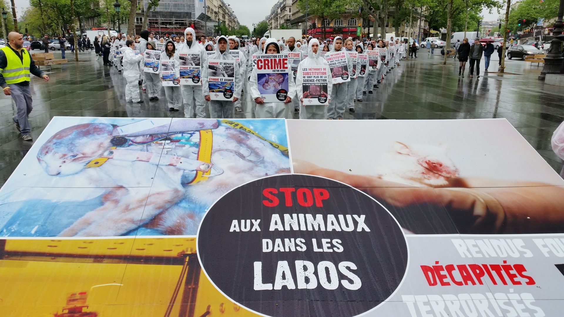 Manifestation contre la vivisection à Paris en avril 2014