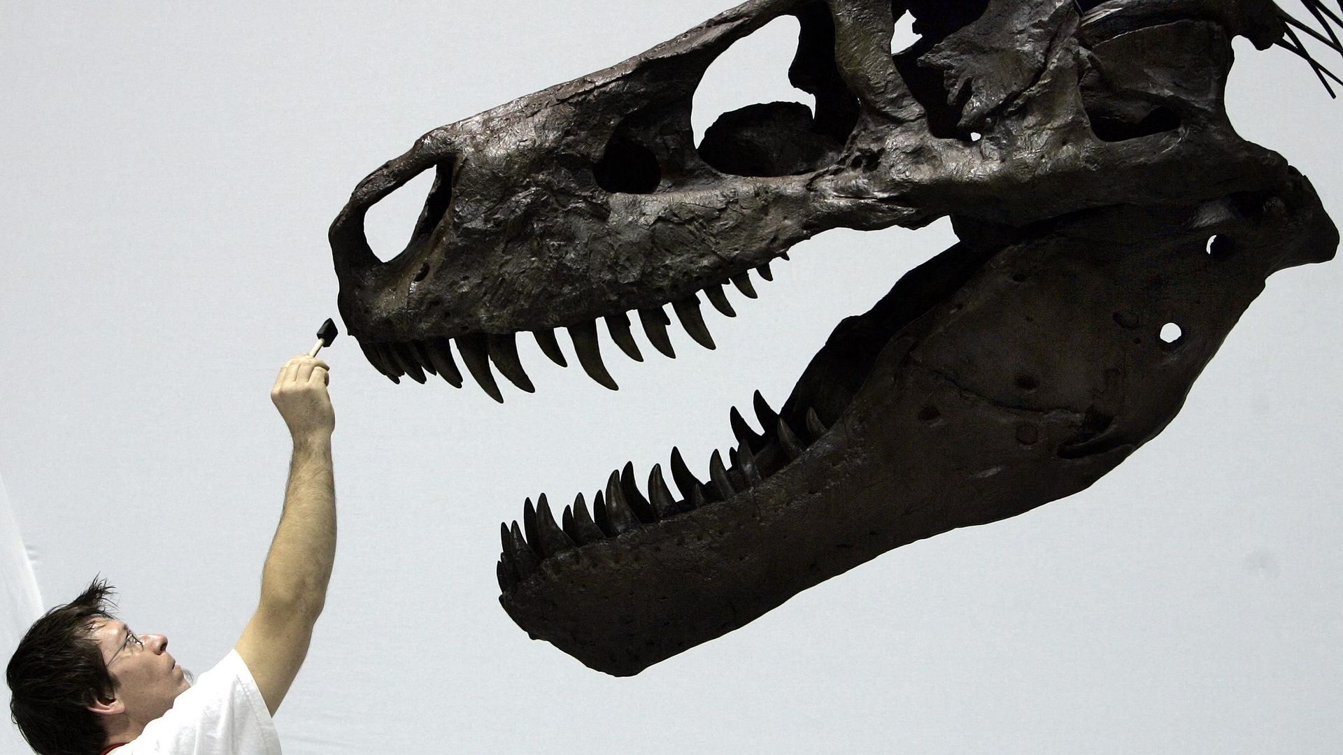 Jurassic Park : il y a 30 ans les dinosaures revenaient sur terre