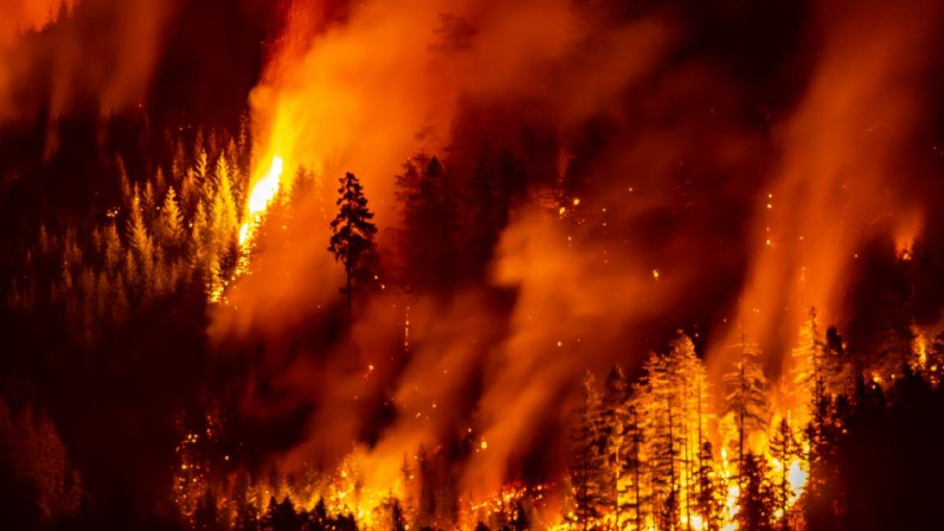 Les fumées des incendies géants au Canada en 2023 auraient contribué à 70.000 morts, jusqu’en Europe