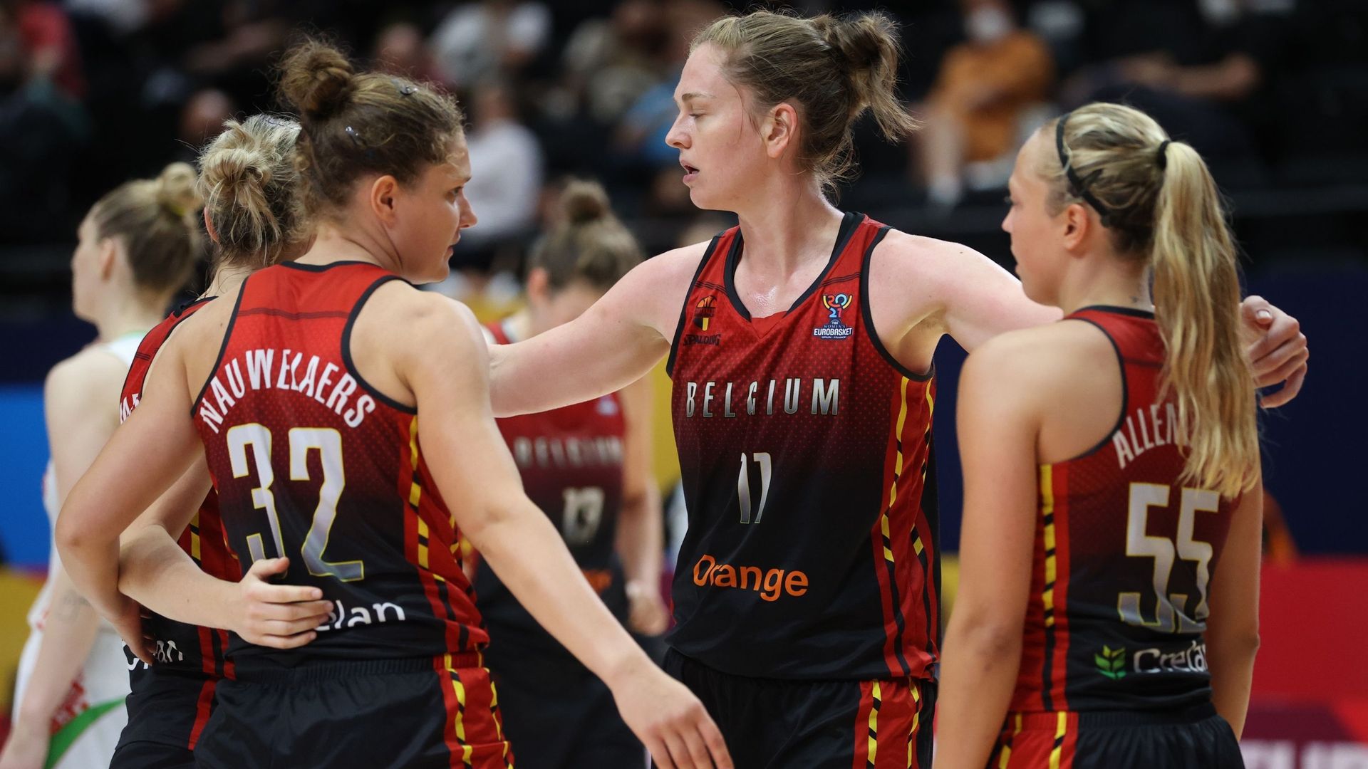 Meesseman dans son élément avec les Belgian Cats