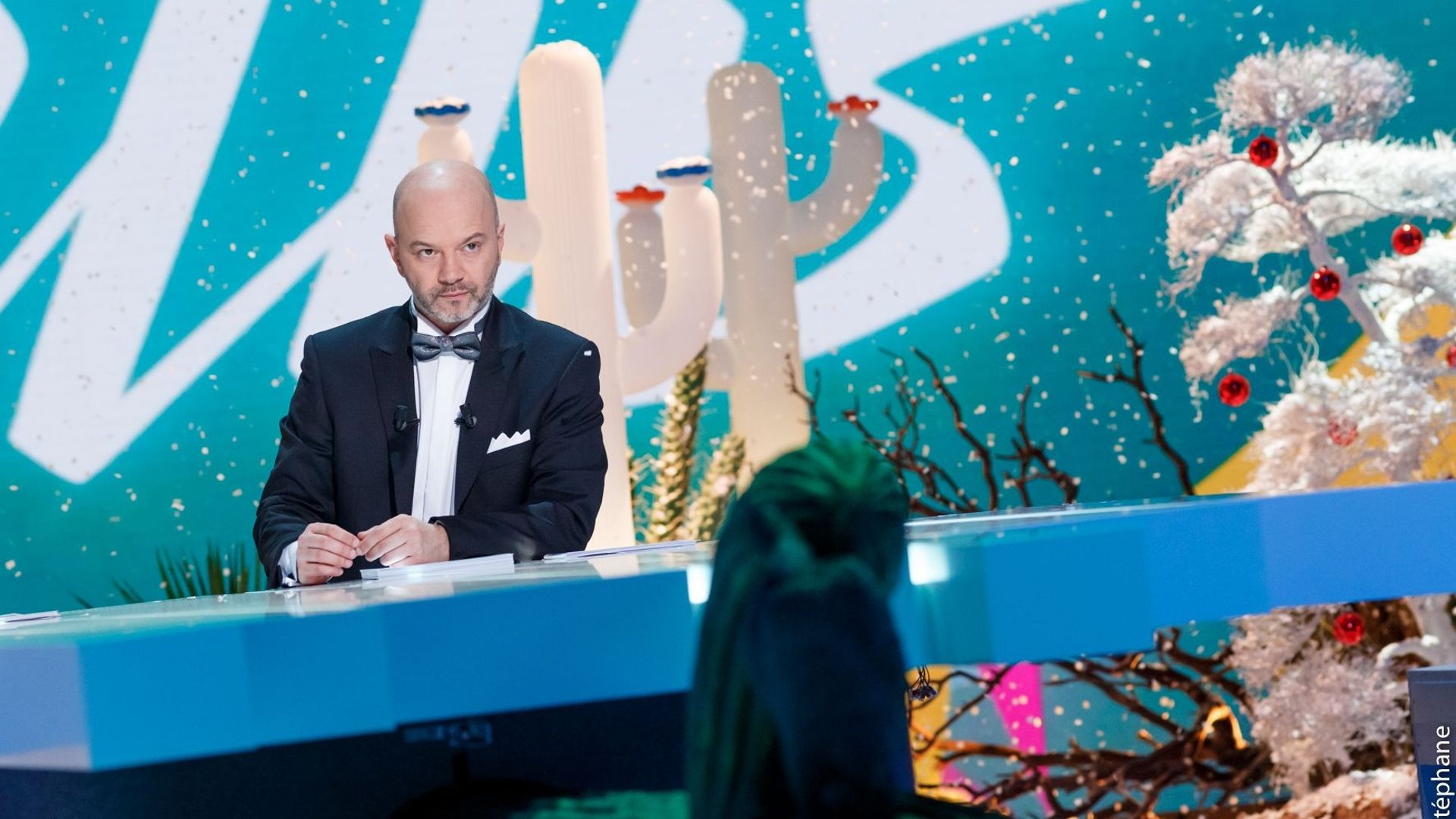 Les 3 'Très très Grand Cactus' de Jérôme de Warzée ! RTBF Actus