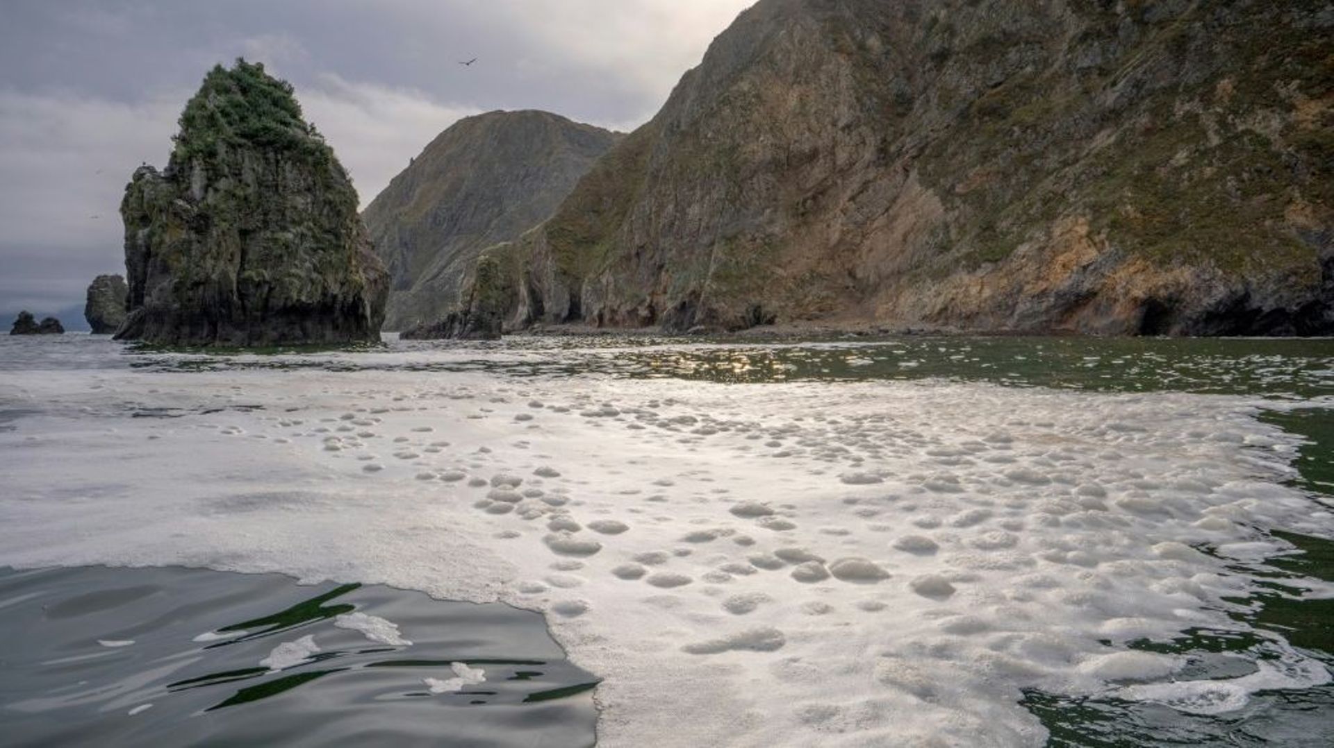 Cette photo publiée par Greenpeace le 5 octobre 2020 montre une importante pollution sur les côtes de la presqu'île russe du Kamtchatka