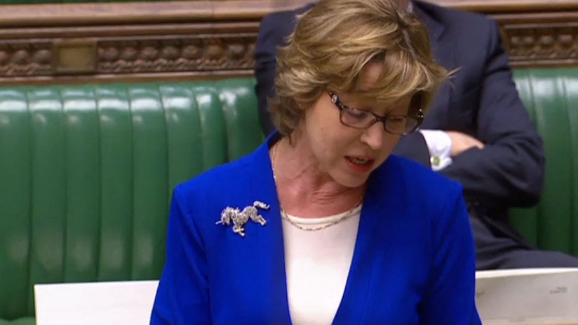 La députée conservatrice Rebecca Pow, portant une broche Licorne, s'exprimant à la Chambre des communes à Londres le 29 mars 2019, lors d'un débat sur le Brexit. 