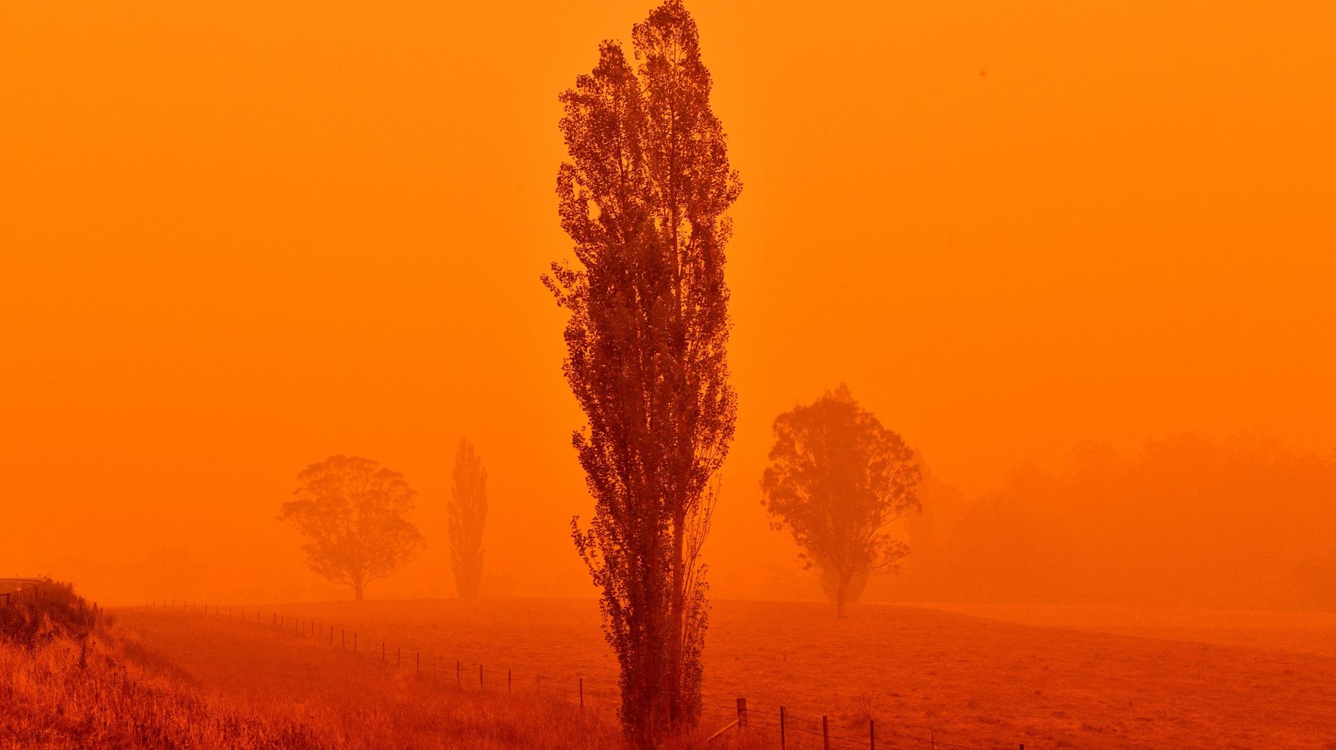 L’Australie a dû faire face à de violents incendies en 2020.