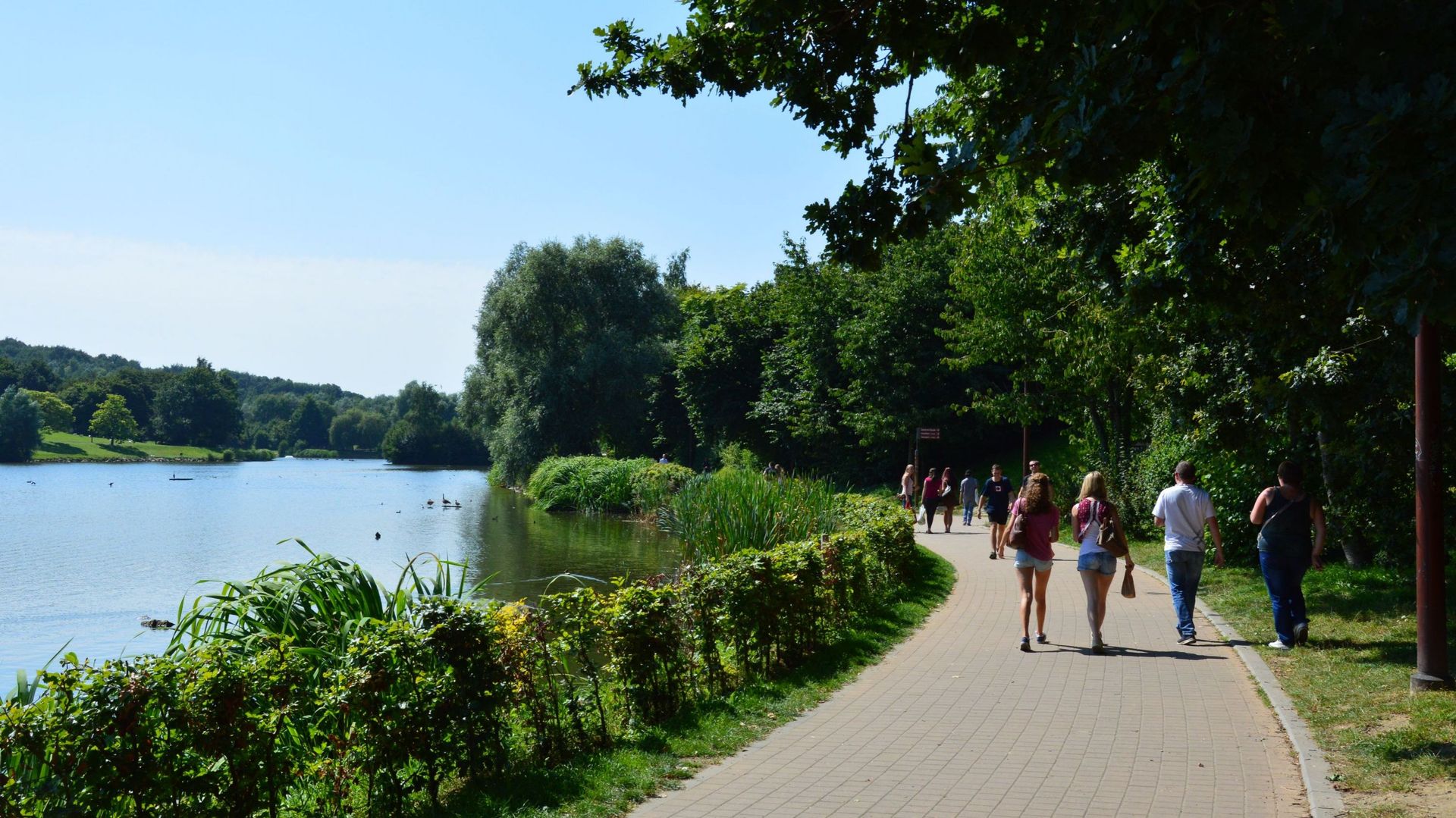 Louvain-la-Neuve : petite balade en solitaire autour du lac pour rêver