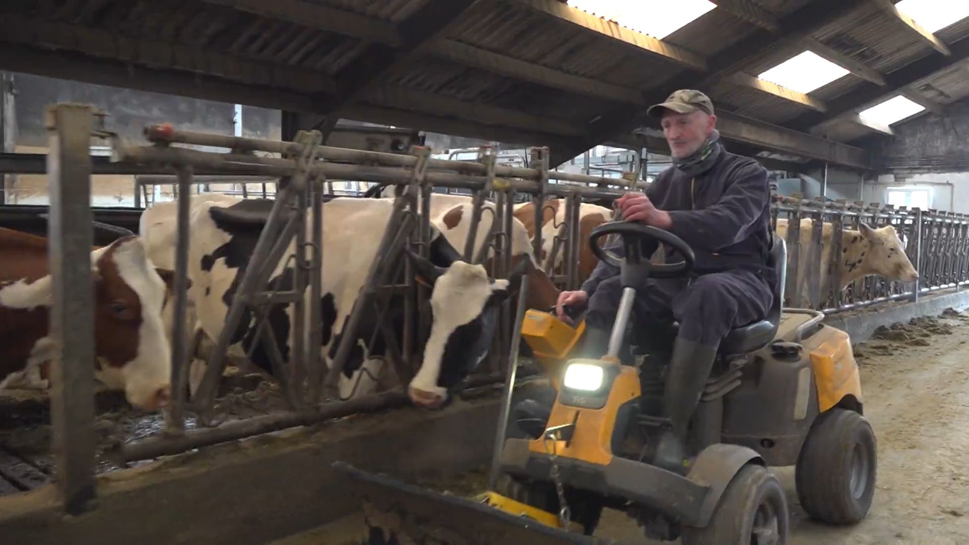 Epuisé et en manque de personnel, un couple d’agriculteurs liégeois est contraint de vendre son bétail