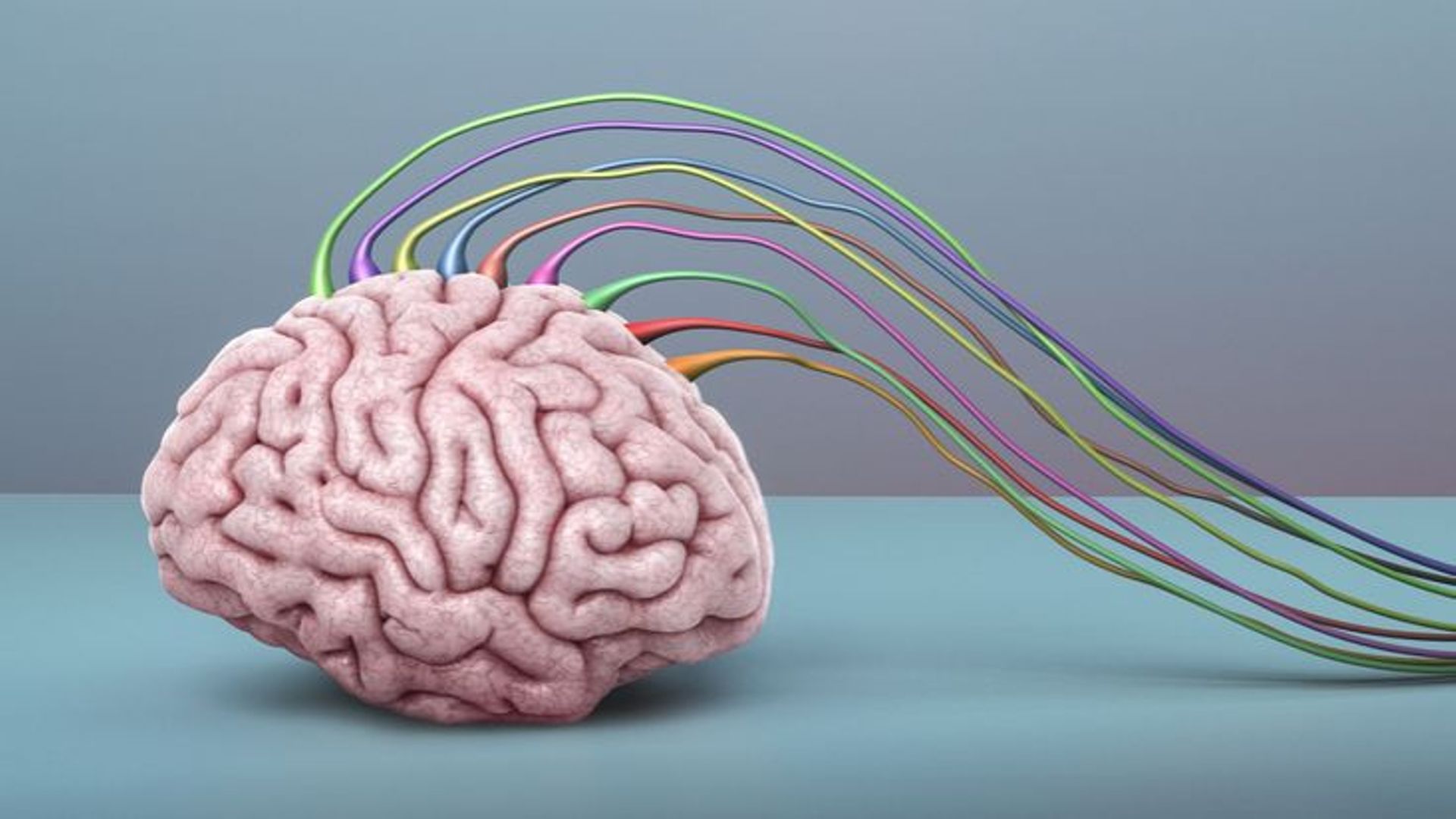 Notre cerveau est-il compartimenté comme on aimerait le croire ? 