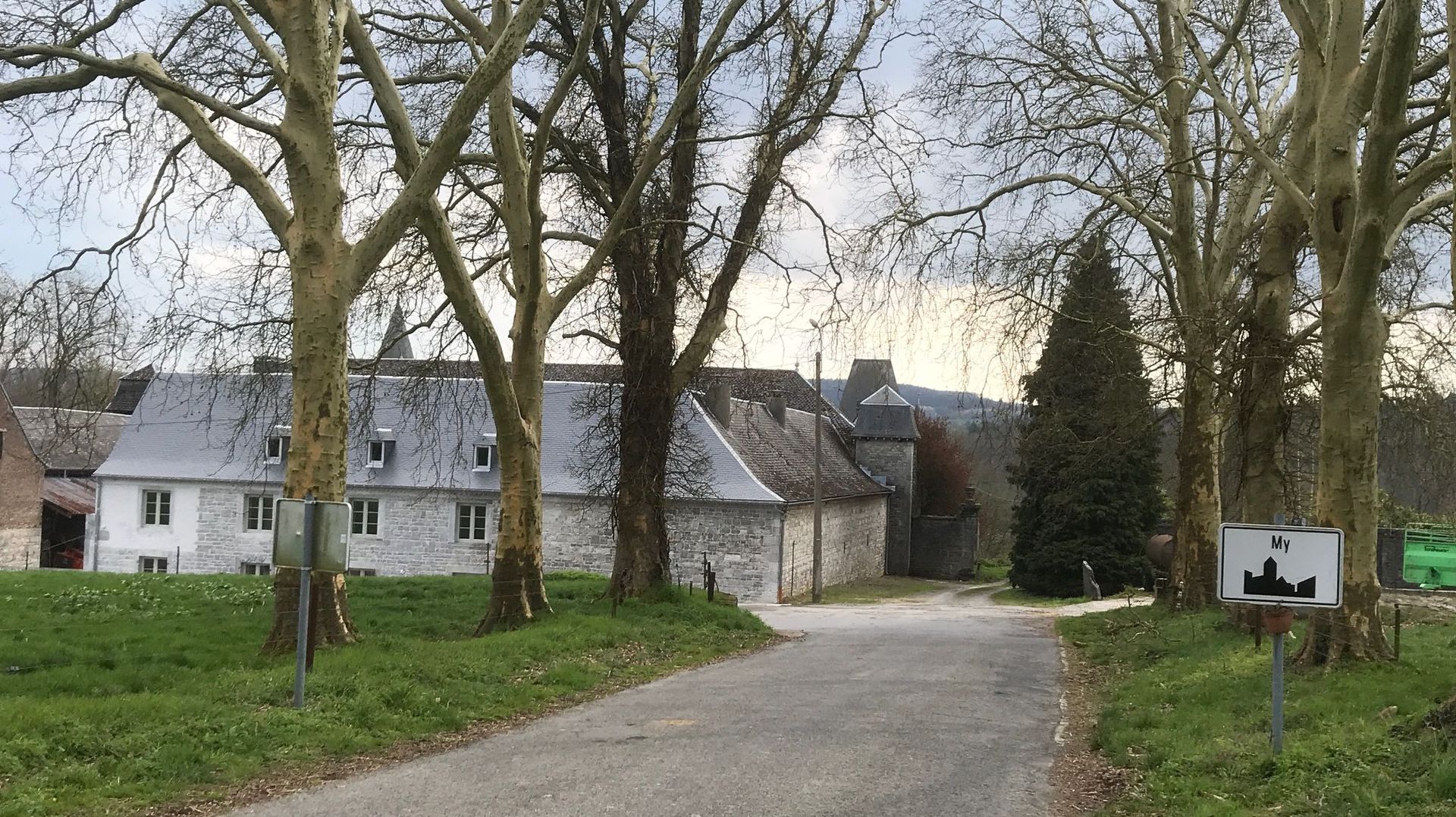 Une allée de platanes menant à une ferme-château, une des caractéristiques du village