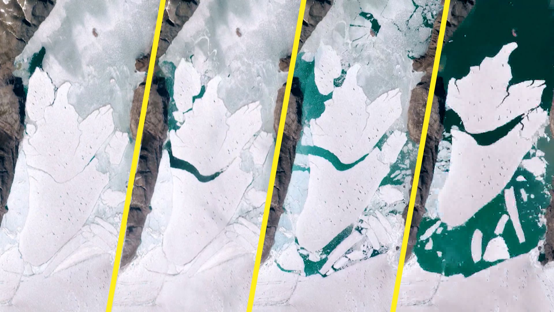 Un effet visible du réchauffement climatique. Au Groenland, une masse de glace deux fois plus grande que l’île de Manhattan s’est détachée du Nioghalvfjerdsfjorden, le plus grand glacier existant encore dans l’Arctique.