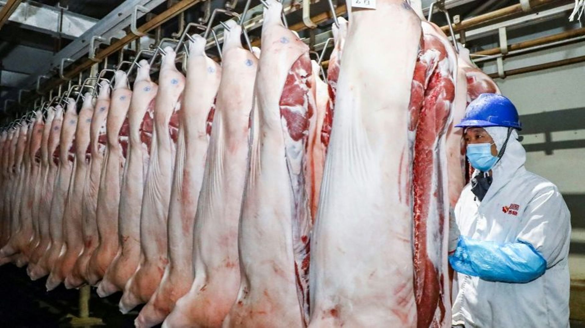 La Chine va puiser 200.000 tonnes de porc dans ses réserves nationales pour enrayer une flambée du prix de cette viande incontournable dans le pays