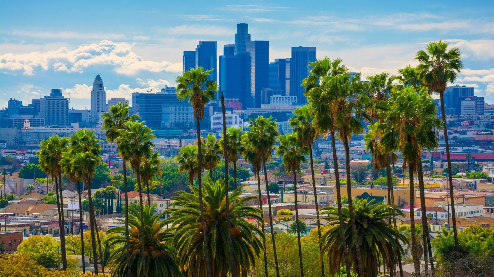 Avec les fortes chaleurs qui s'abattent régulièrement sur elle, Los Angeles (États-Unis) devrait disposer de bien plus d'arbres pour conserver un semblant de fraicheur.