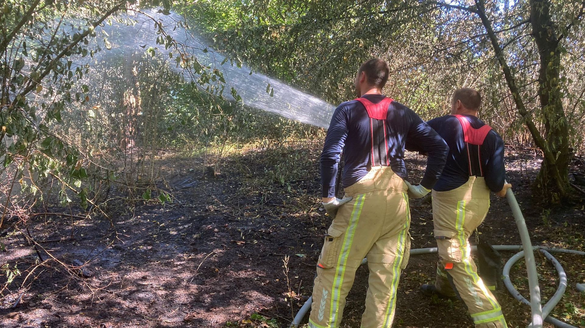 Les pompiers ont dû lutter contre les feux de broussailles aux quatre coins de la province