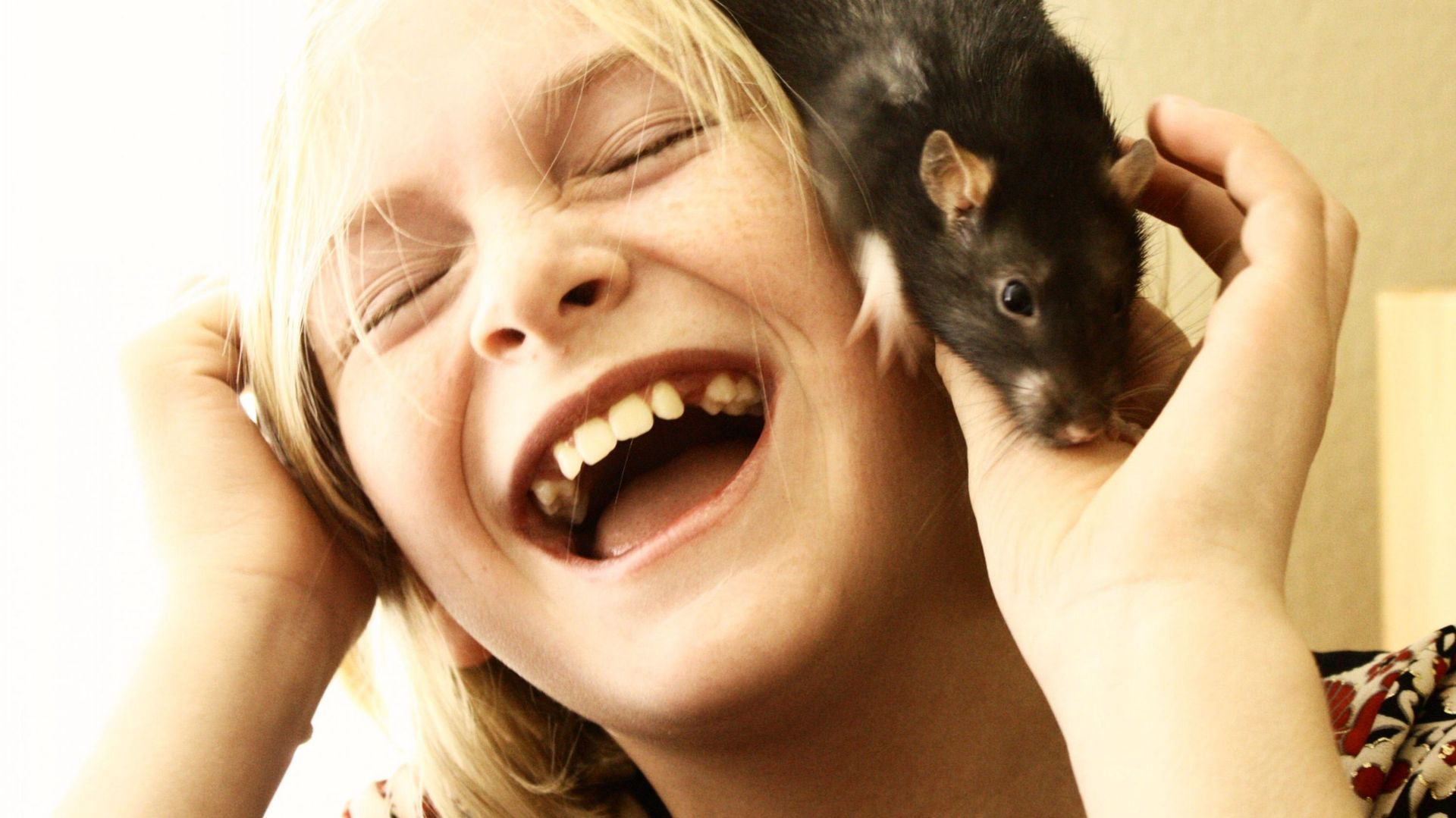 Adopter un rat, c'est vraiment une super idée