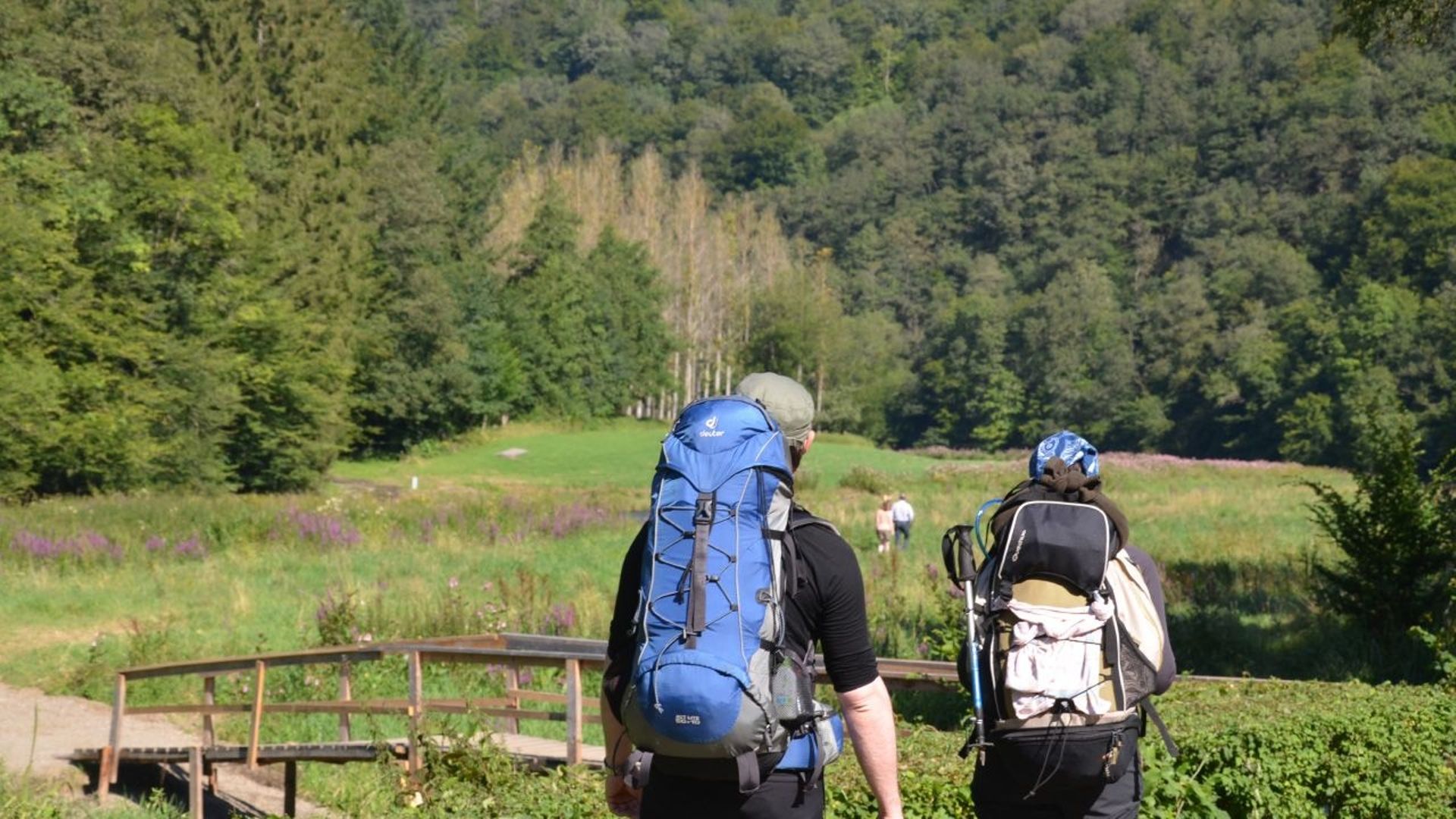 Les amateurs de randonnée peuvent se réjouir : cet été sifflera le départ du produit de randonnée Train & Sac à dos : 16 randonnées de gare en gare de la Grande Forêt de St-Hubert à la Gaume en passant par l’Ardenne méridionale