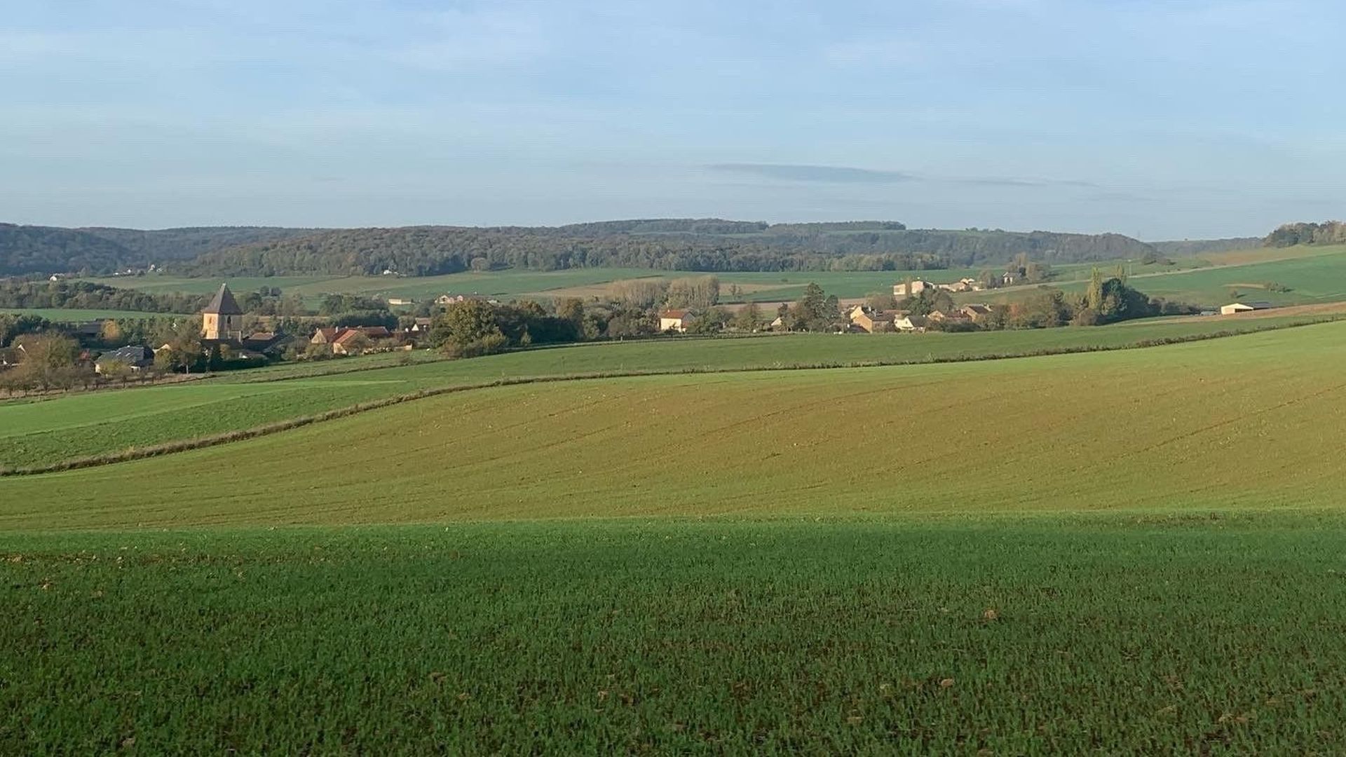 L’Argonne est une région naturelle de la France, qui chevauche les départements de la Marne, des Ardennes et de la Meuse, à l’est du bassin parisien.