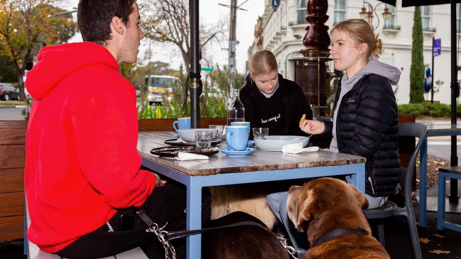 La cohabitation entre clients et chiens est souvent parfaite.