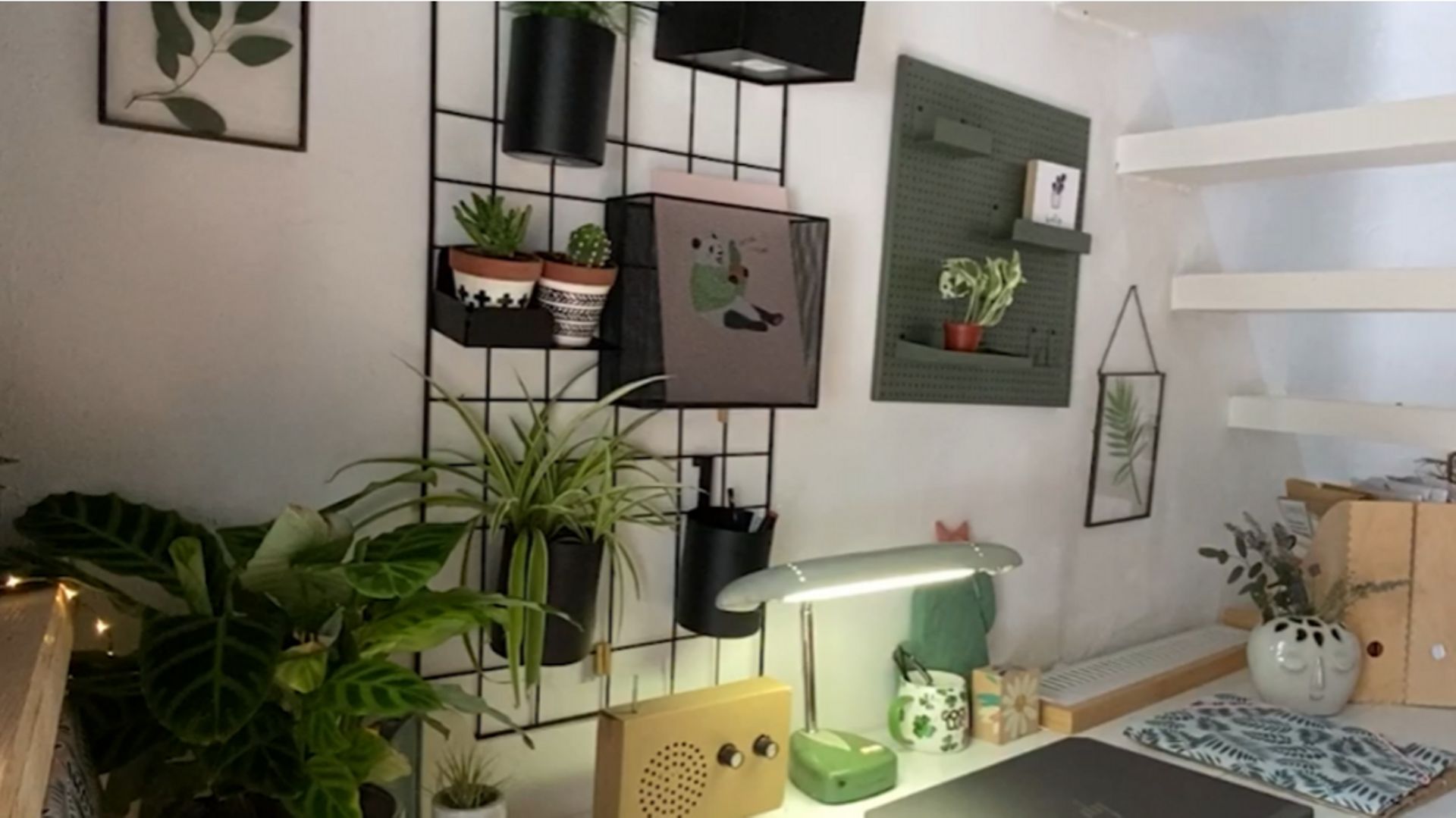 Tu as emménagé dans ton kot… et si tu y mettais un peu de vert ?