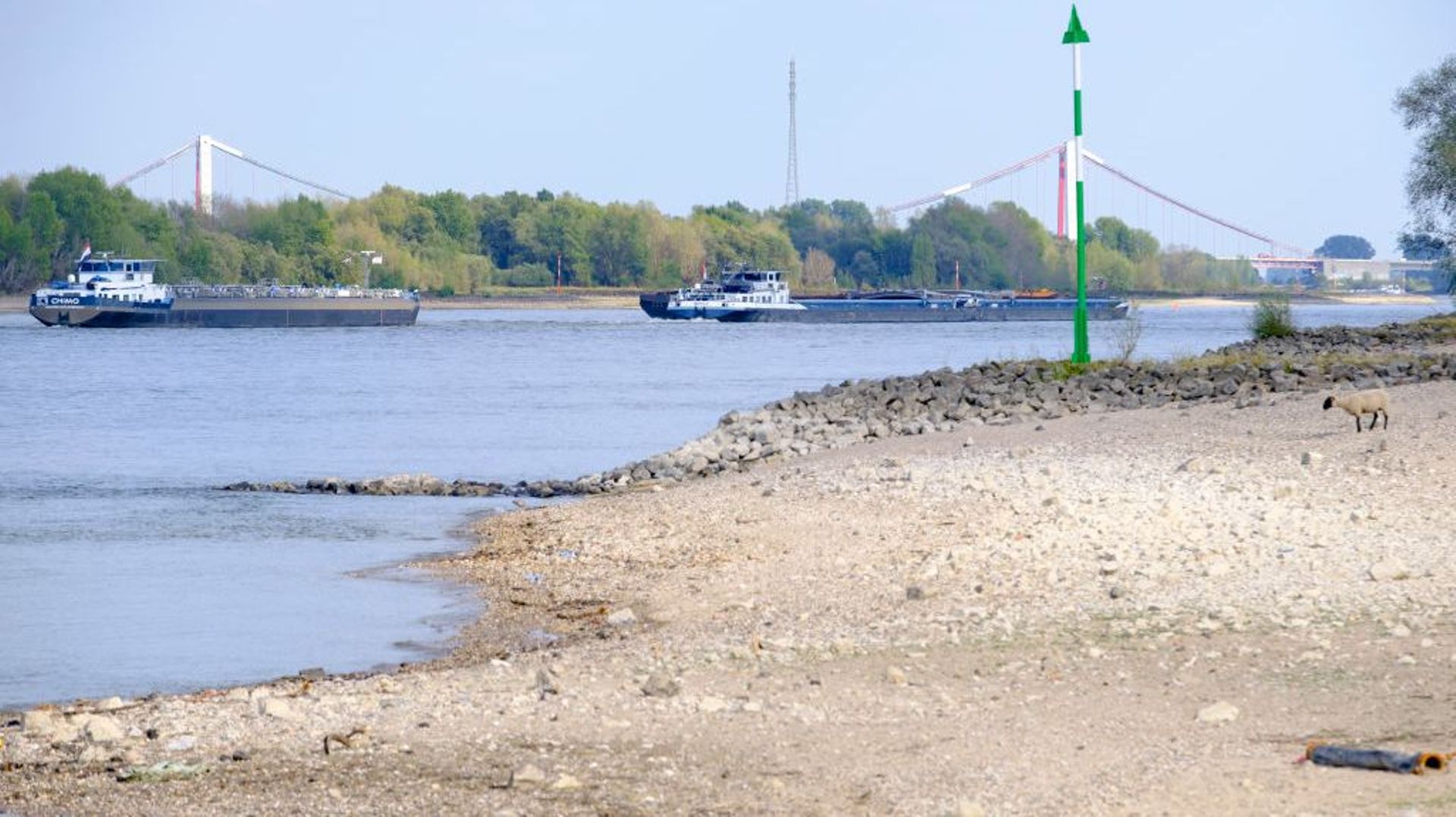 En raison de la sécheresse actuelle, les niveaux des cours d'eau et des rivières d'Europe atteignent des niveaux historiquement bas. Le Rhin le 23 août 2022 à Salmorth, en Allemagne.