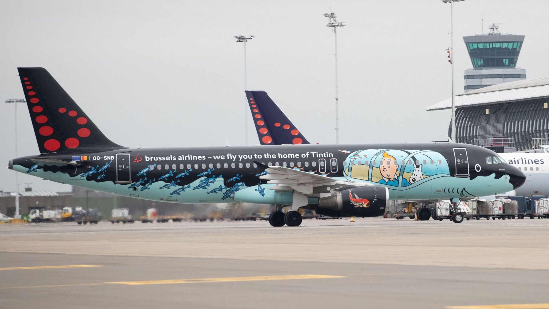 Les vols de Brussels Airlines ne reprendront pas avant le 15 mai (au moins). 