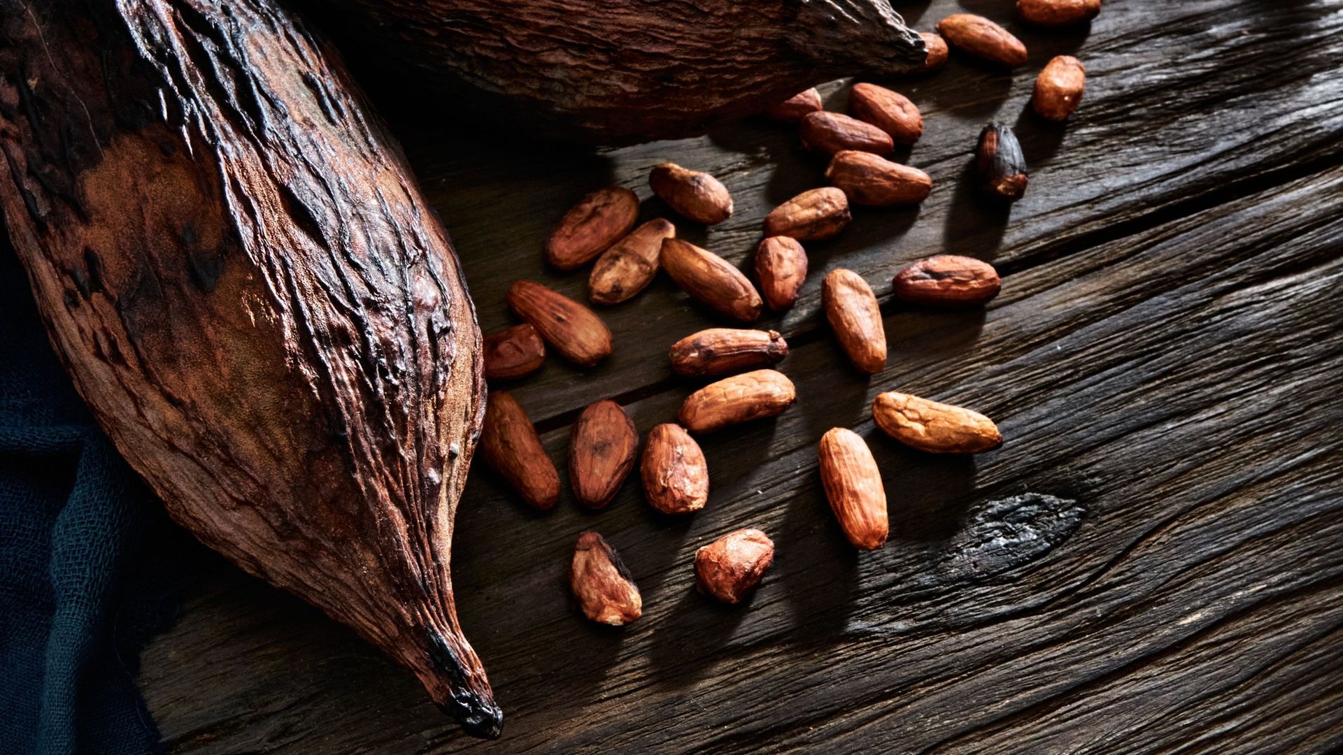De la fève à la tablette, le cacao d'Haïti veut sa place à l'international.