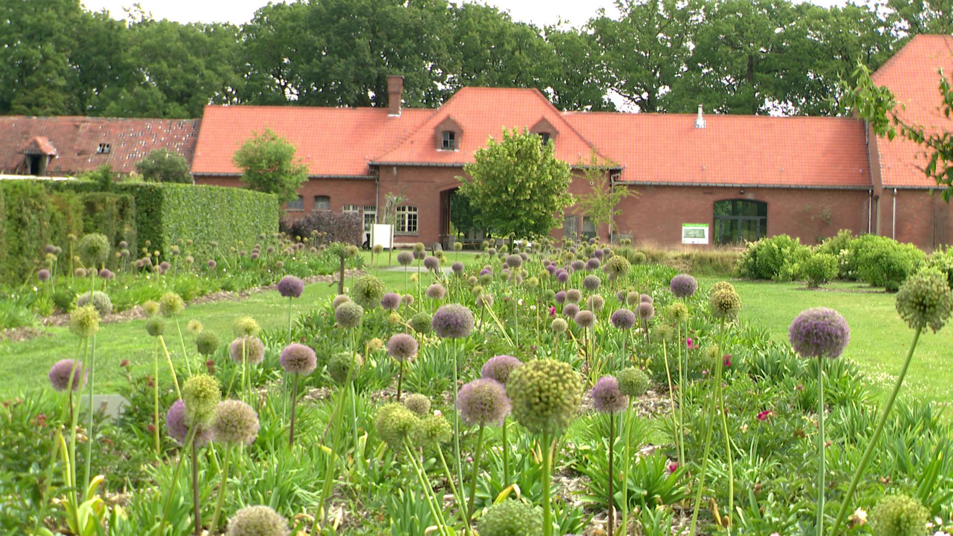 Le jardin botanique 'De Kleine Boerderij' à Merksplas regorge de trésors botaniques
