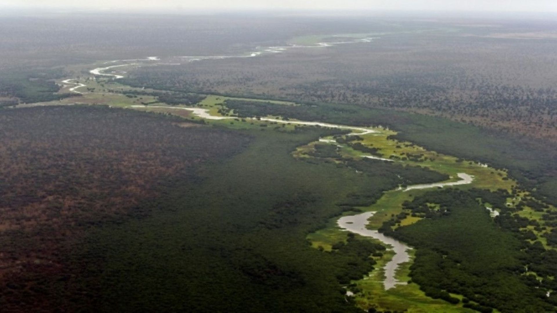 Vue aérienne sur le parc national de Boma.