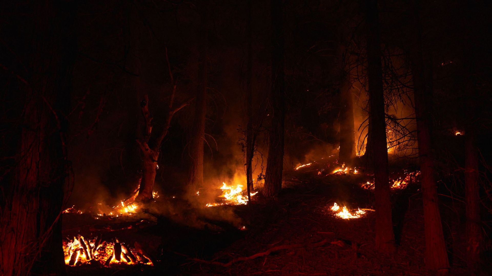 Dixie Fire est le deuxième incendie le plus important de Californie