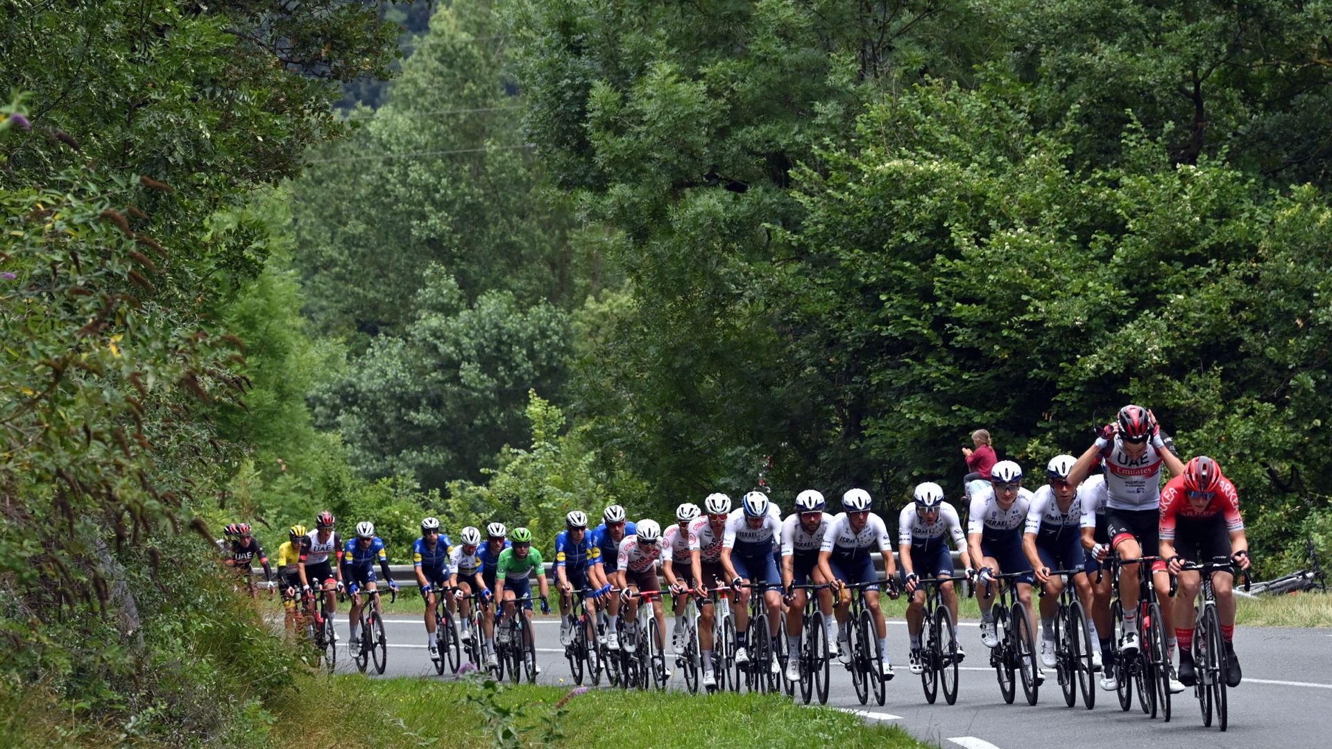 Le peloton sur les routes du Tour de France en 2021.