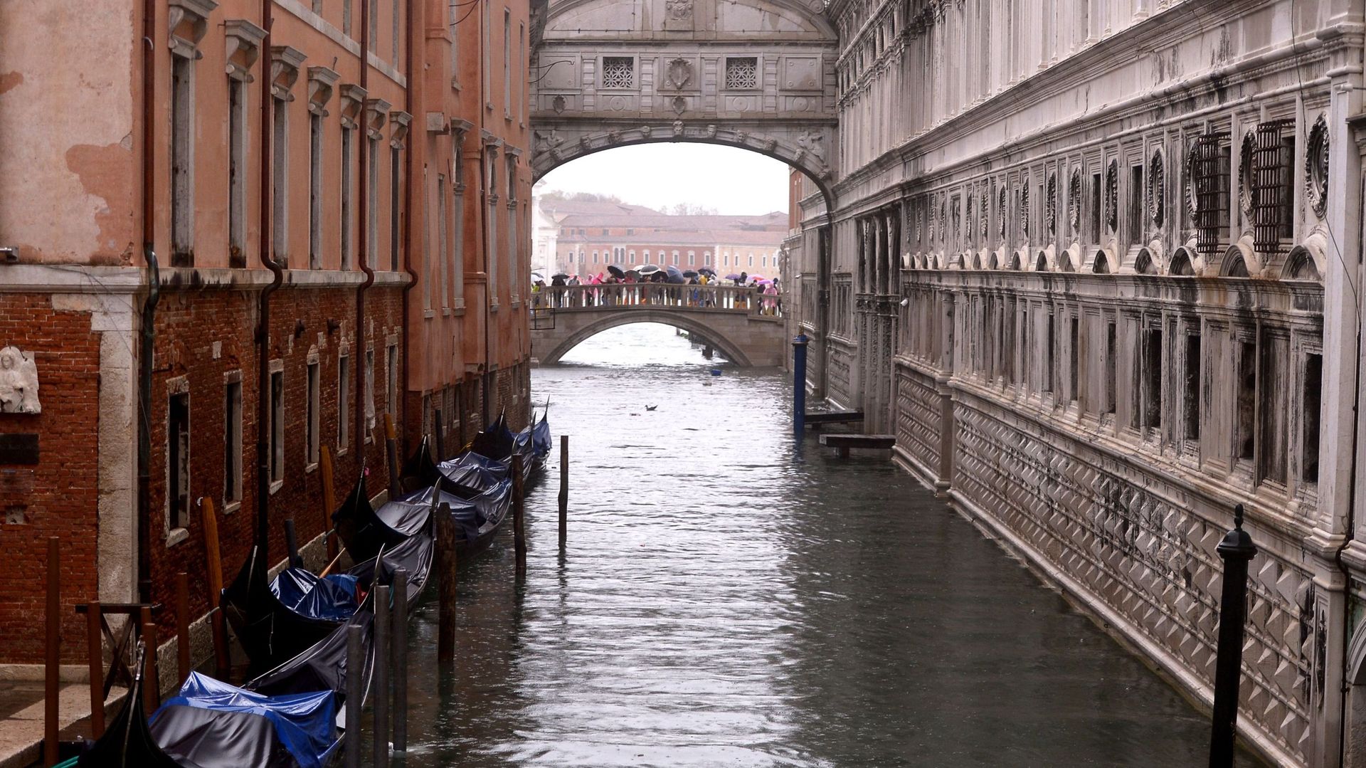 Intempéries: un mort et deux disparus en Italie, Venise submergée