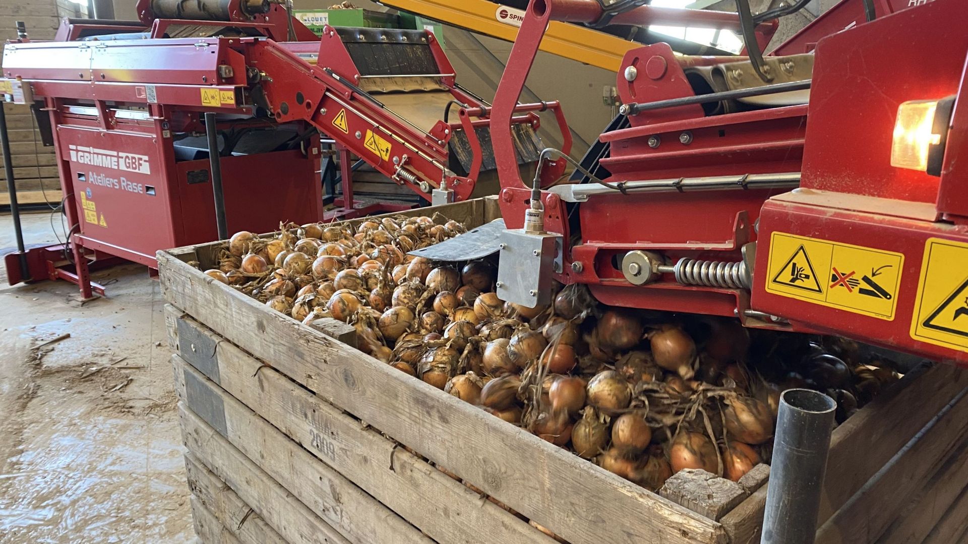 Les oignons sont stockés dans les installations de Bel Go Bio, entreprise située sur le territoire de la commune de Faimes, où ils doivent être correctement séchés.