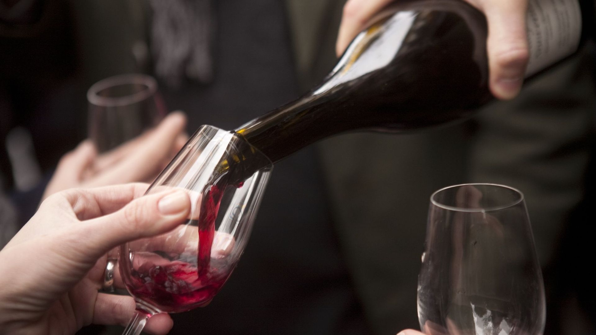 Beaujolais Nouveau : c'est quoi, un vin primeur ?
