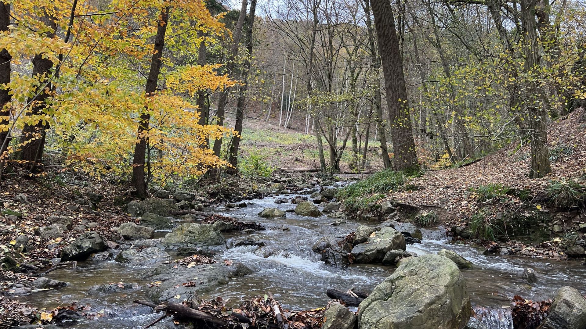 Discussion on Municipal Land Aywaille's Proposal for Parking Lot