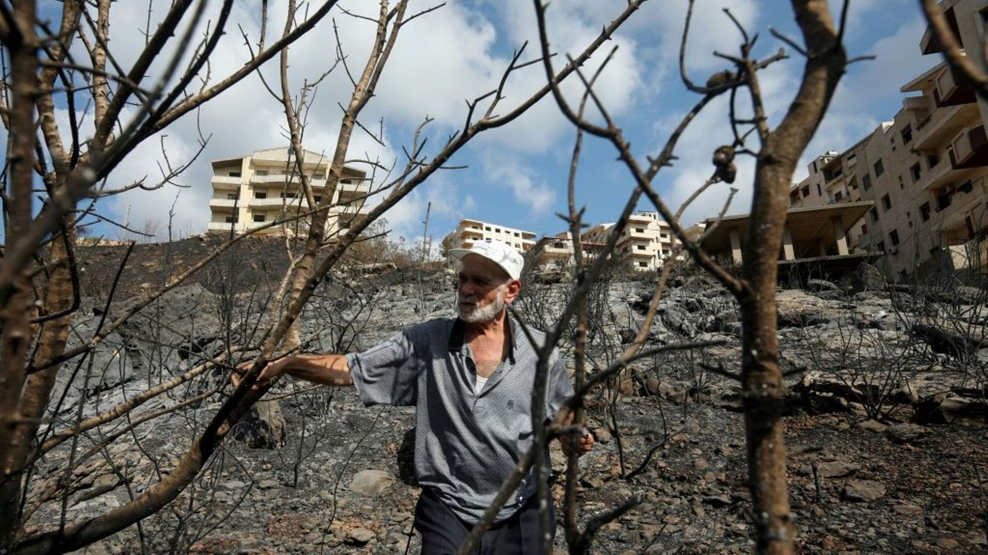 Un Syrien inspecte ses oliviers, réduits en cendres par les feux de forêts, dans la région de Tartous en Syrie, le 11 octobre 2020