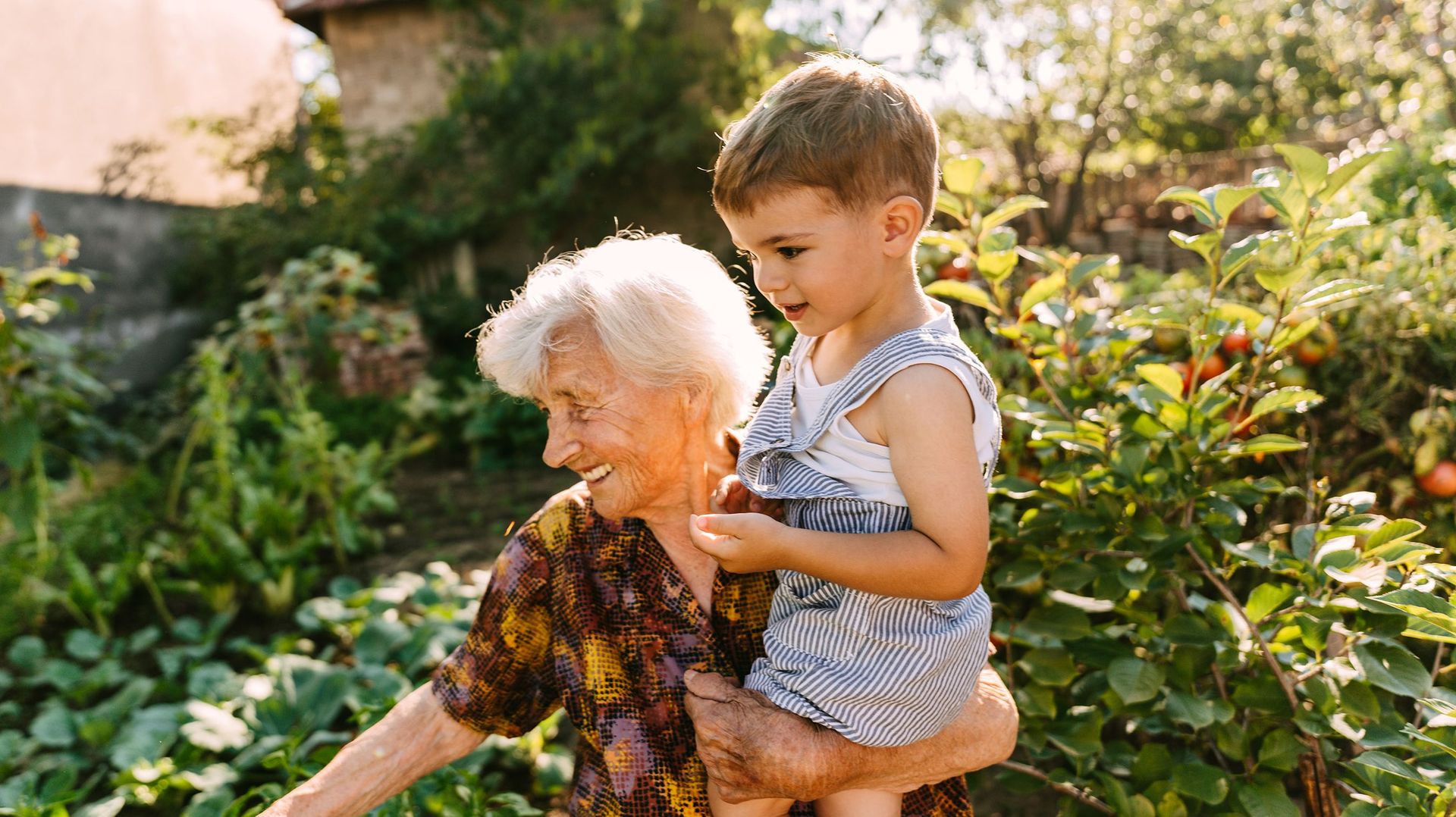 Les grands-mères ont un fort instinct de protection envers leurs petits-enfants, et sont biologiquement bien équipées pour s’attacher à eux.